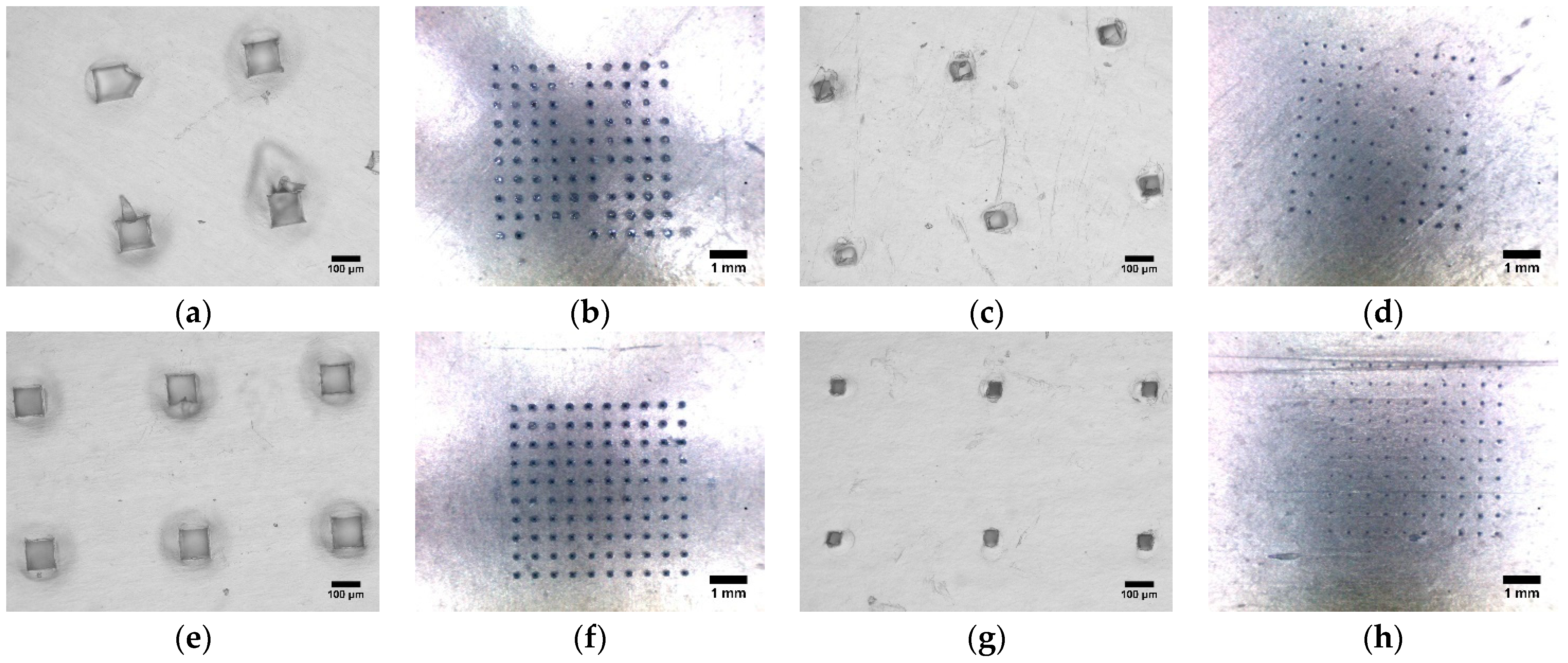Pharmaceutics 16 00845 g005