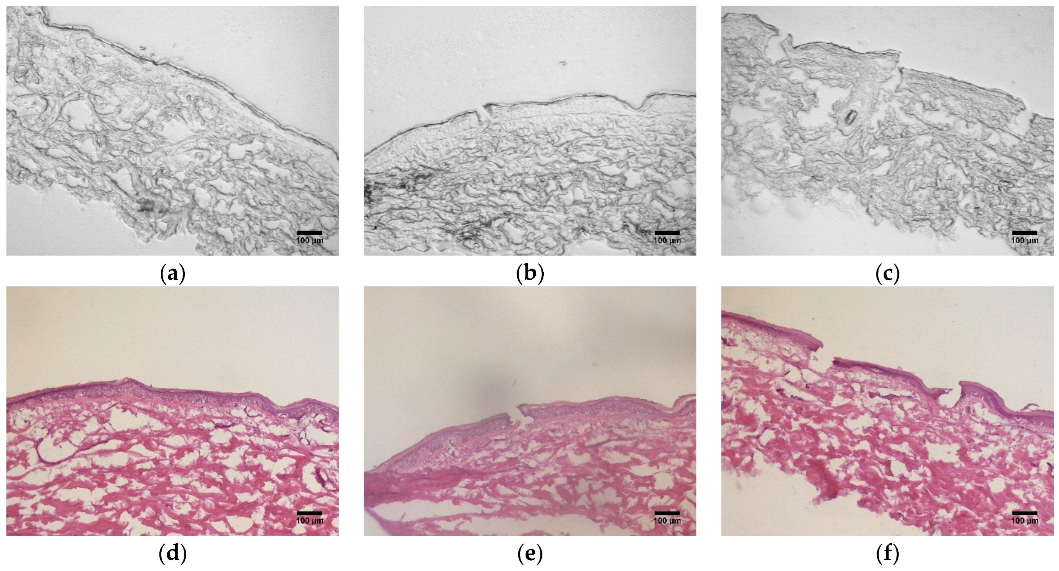 Pharmaceutics 16 00845 g007