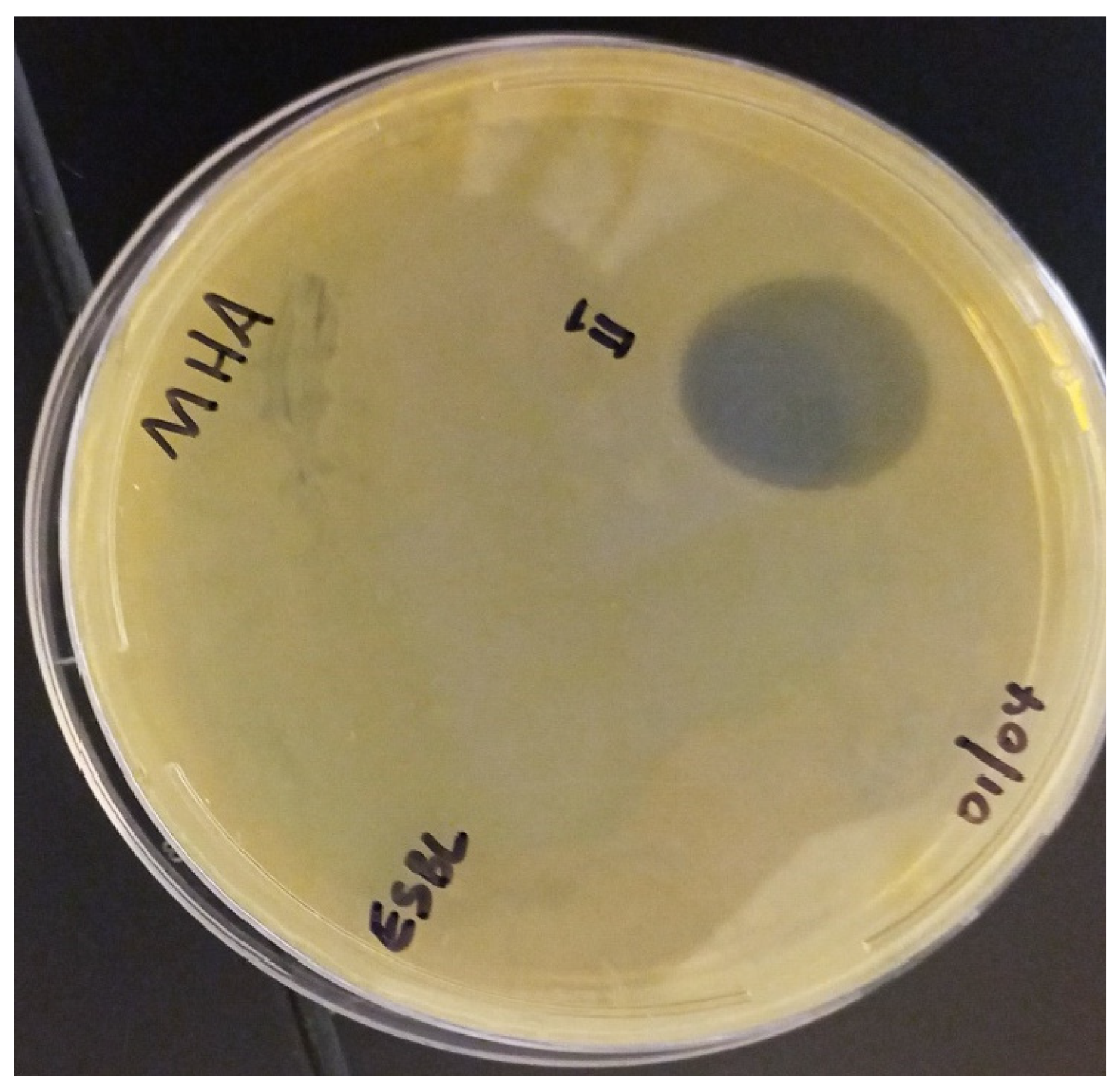 Pharmaceutics 16 00850 g005