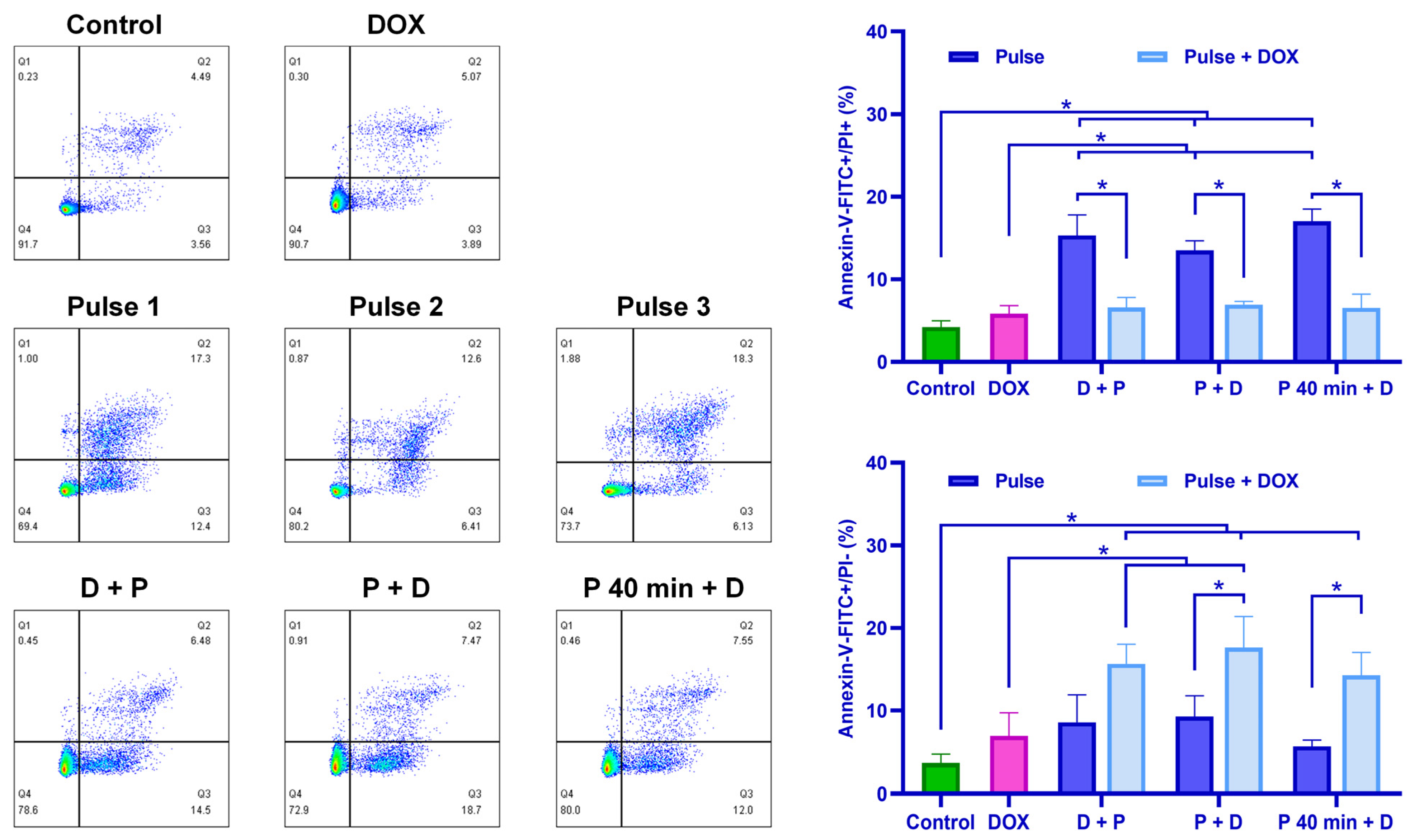 Pharmaceutics 16 00851 g008