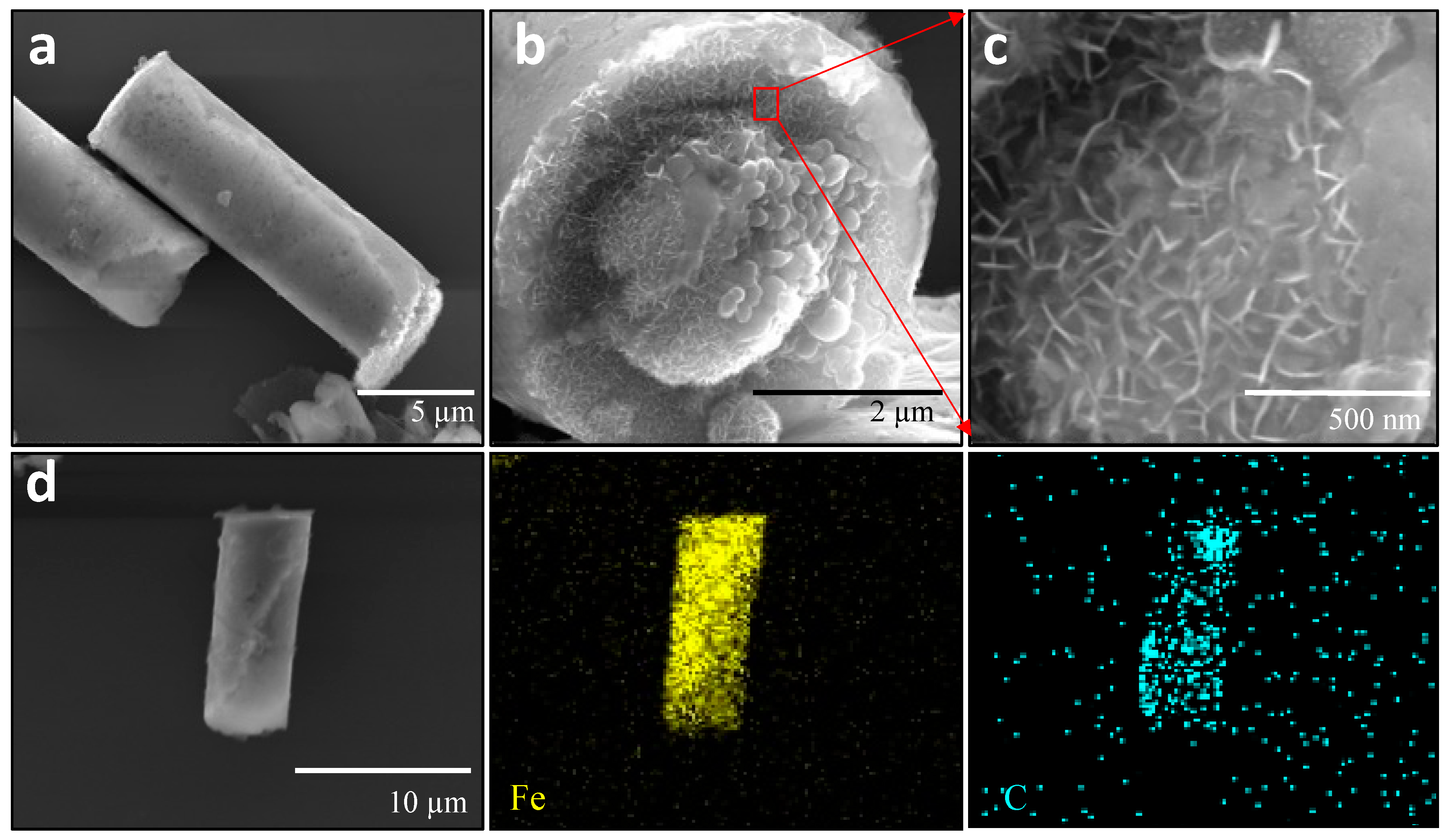Pharmaceutics 16 00856 g001