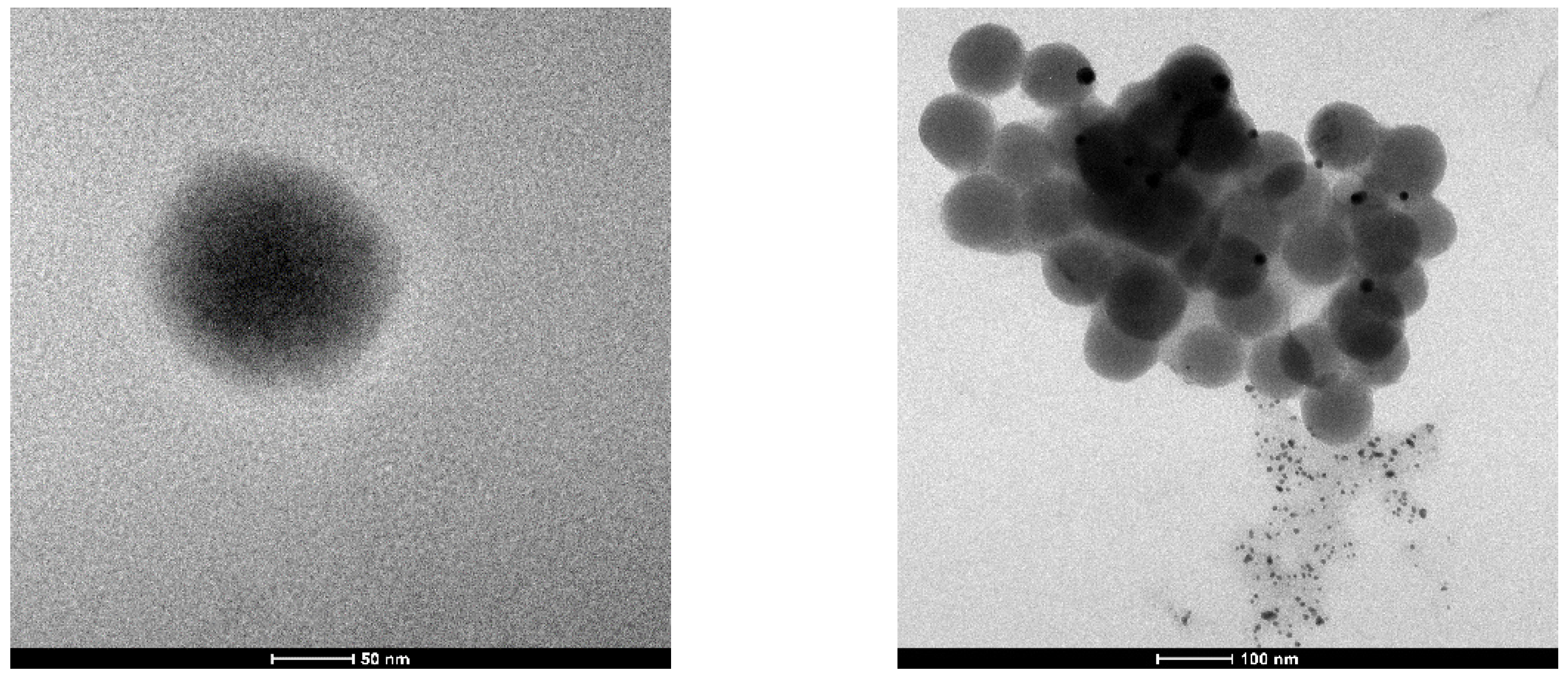 Pharmaceutics 16 00874 g001