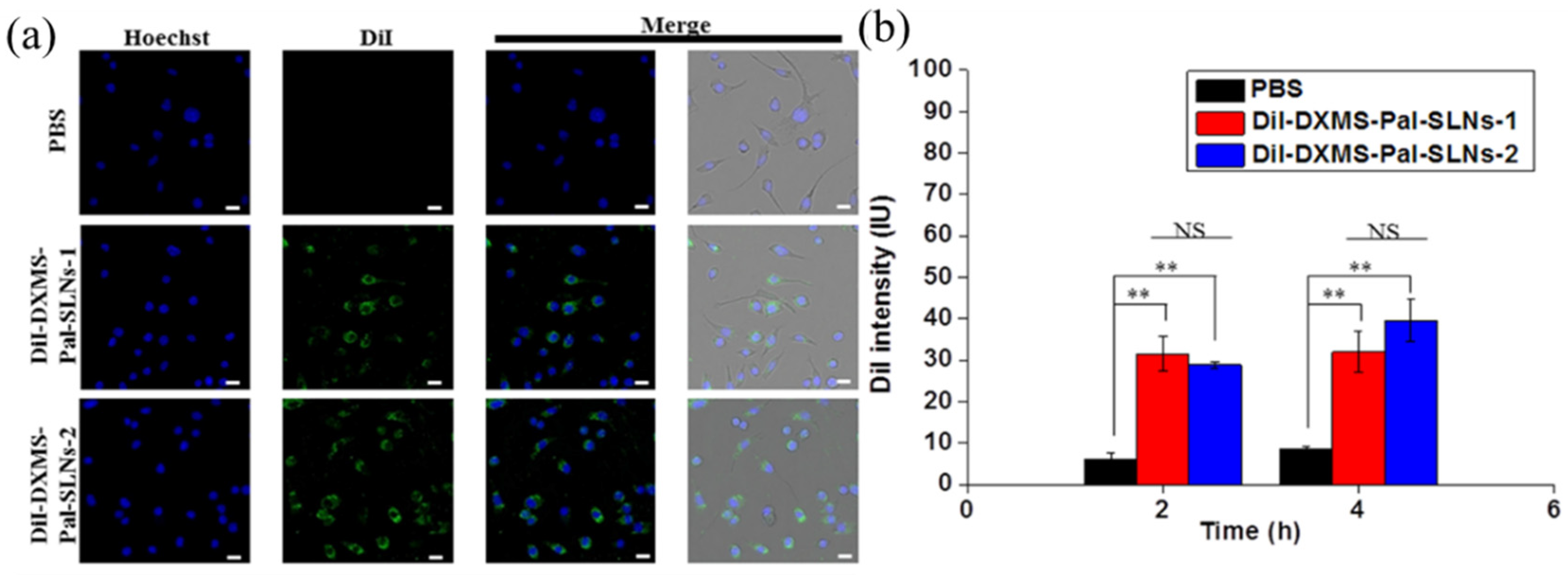 Pharmaceutics 16 00878 g002
