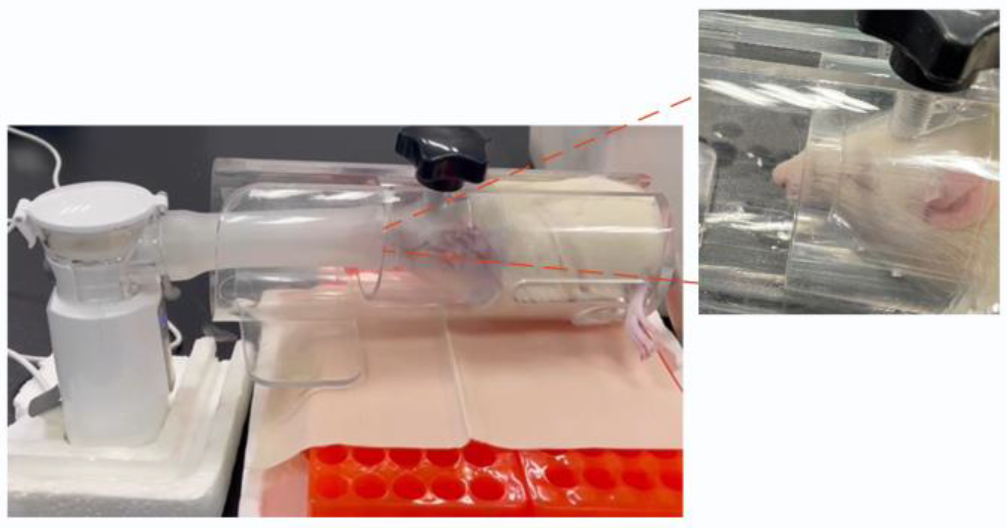 Pharmaceutics 16 00879 g001