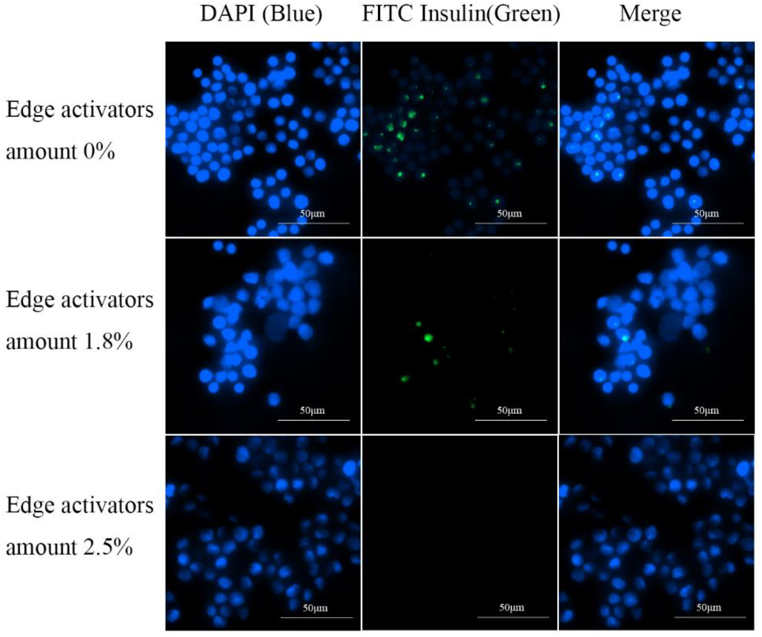 Pharmaceutics 16 00879 g005