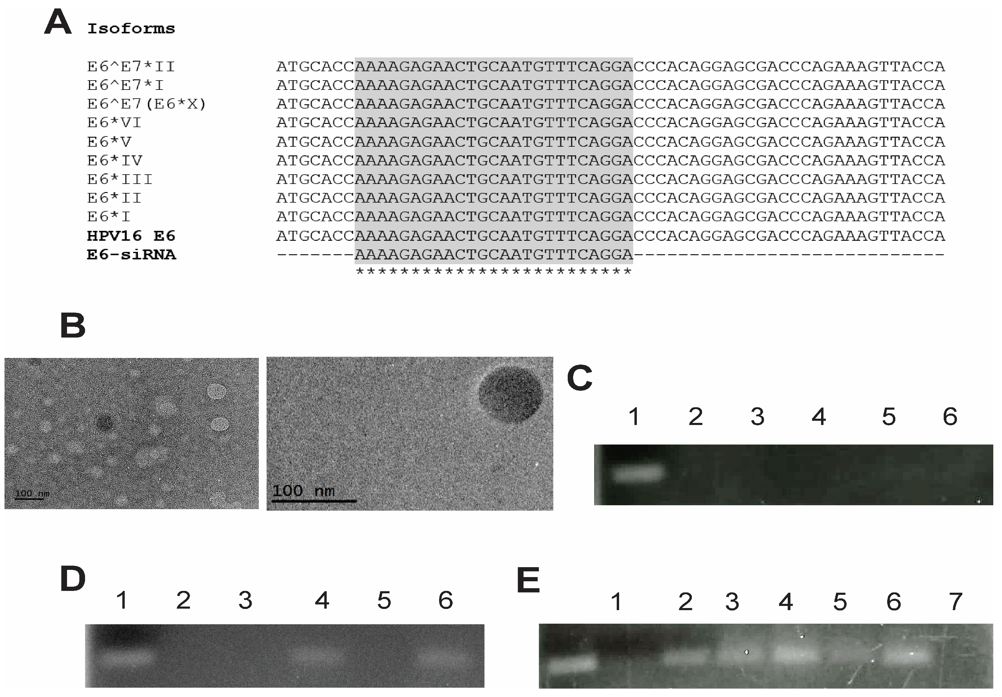 Pharmaceutics 16 00880 g001