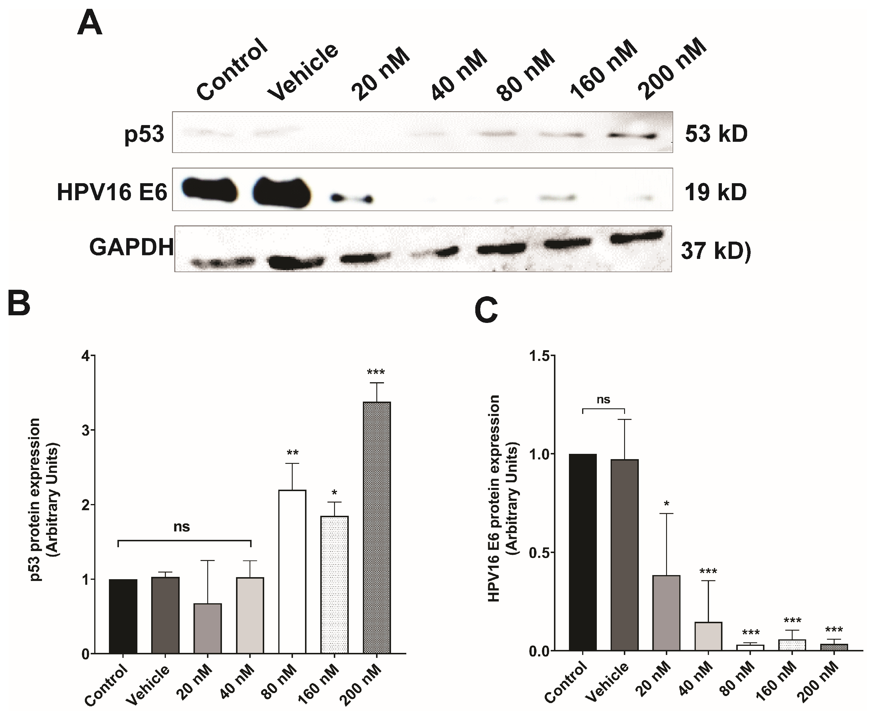 Pharmaceutics 16 00880 g004