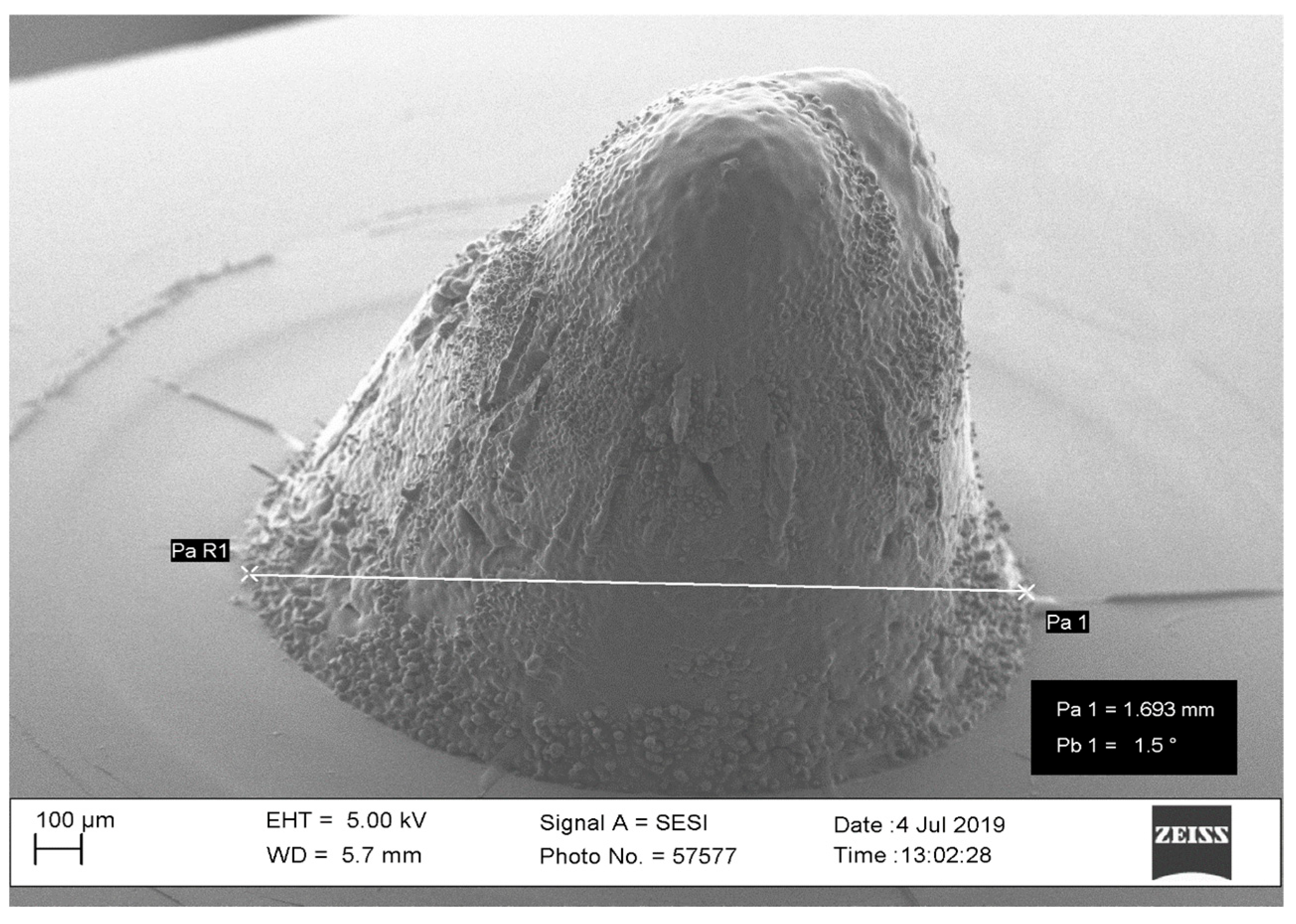 Pharmaceutics 16 00885 g004