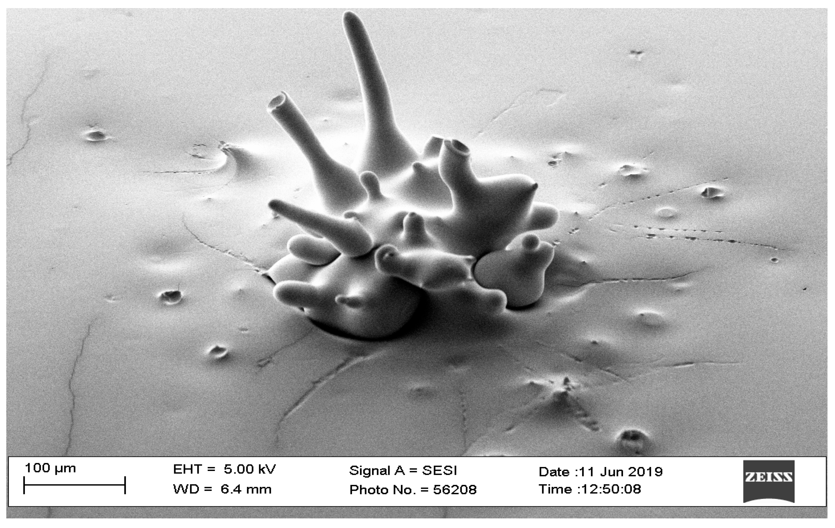 Pharmaceutics 16 00885 g006