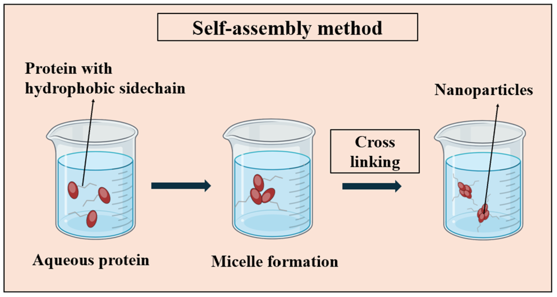 Pharmaceutics 16 00887 g004