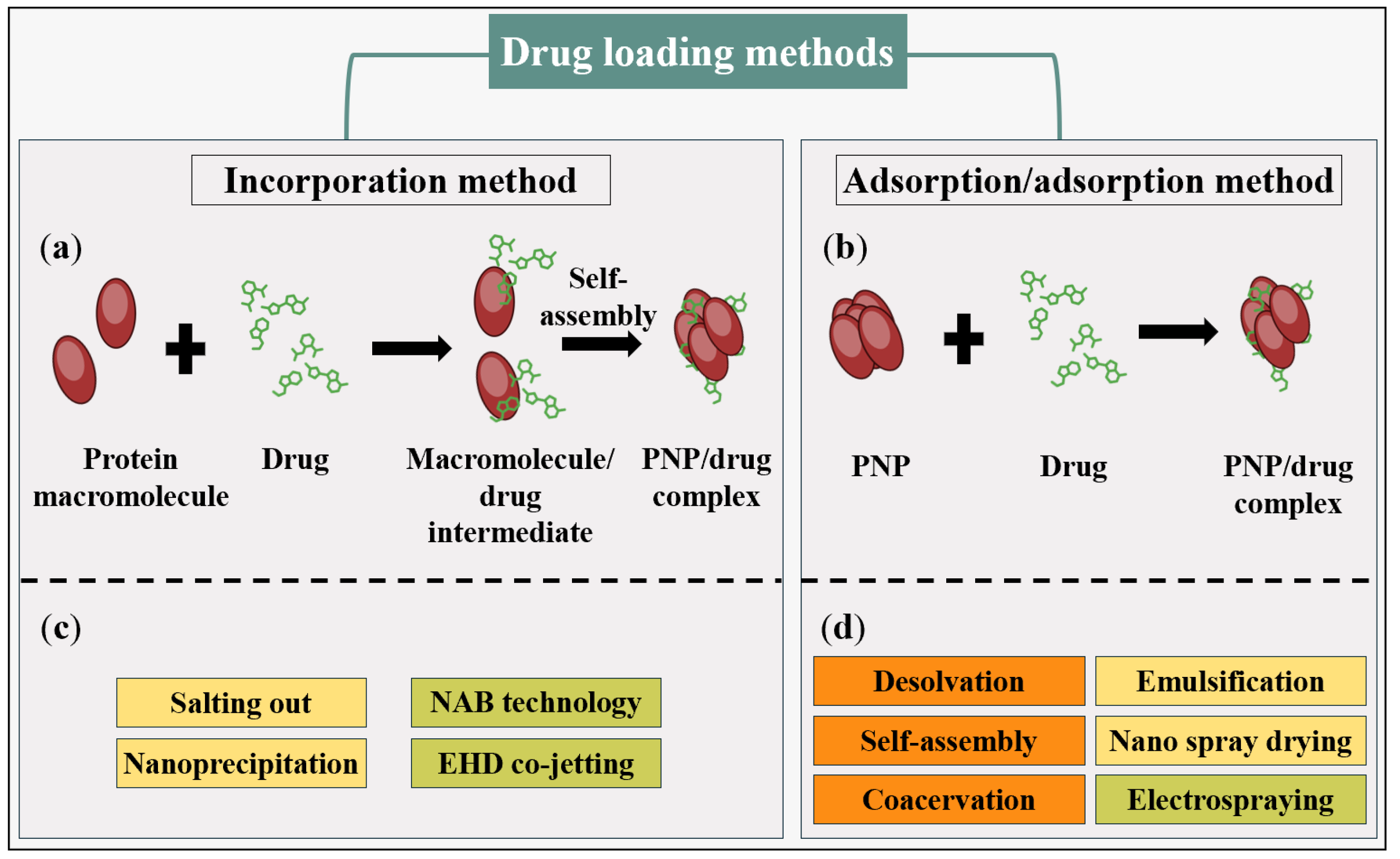 Pharmaceutics 16 00887 g013