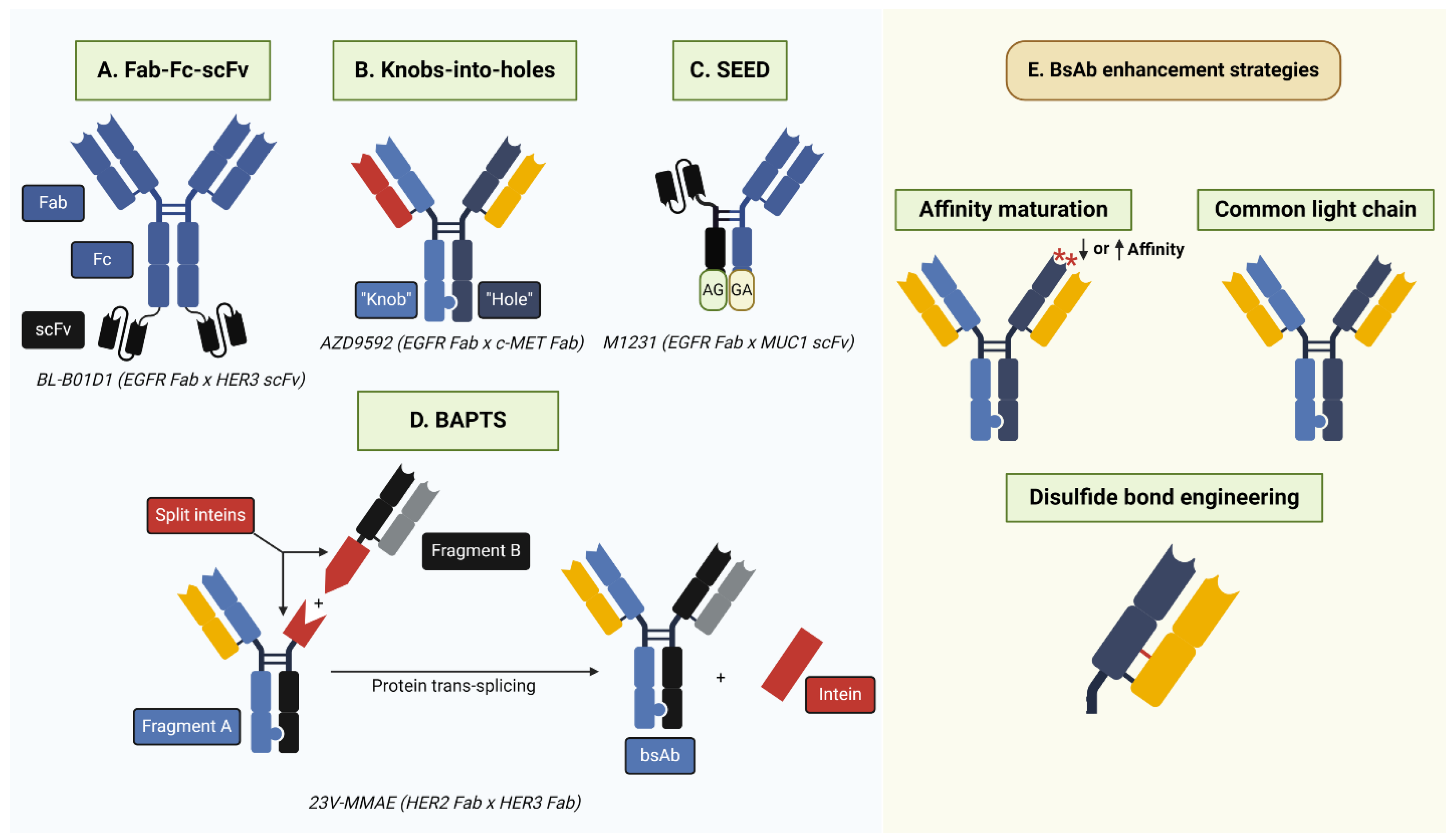 Pharmaceutics 16 00890 g004
