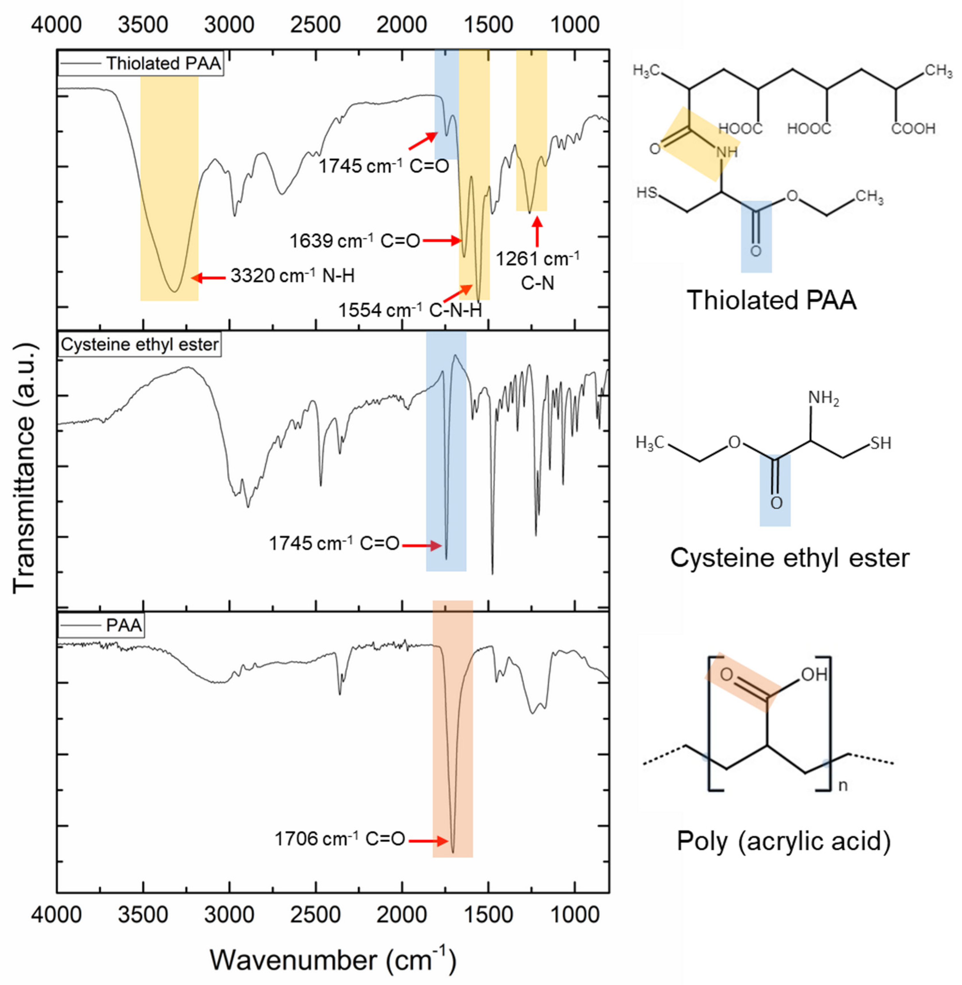 Pharmaceutics 16 00891 g001