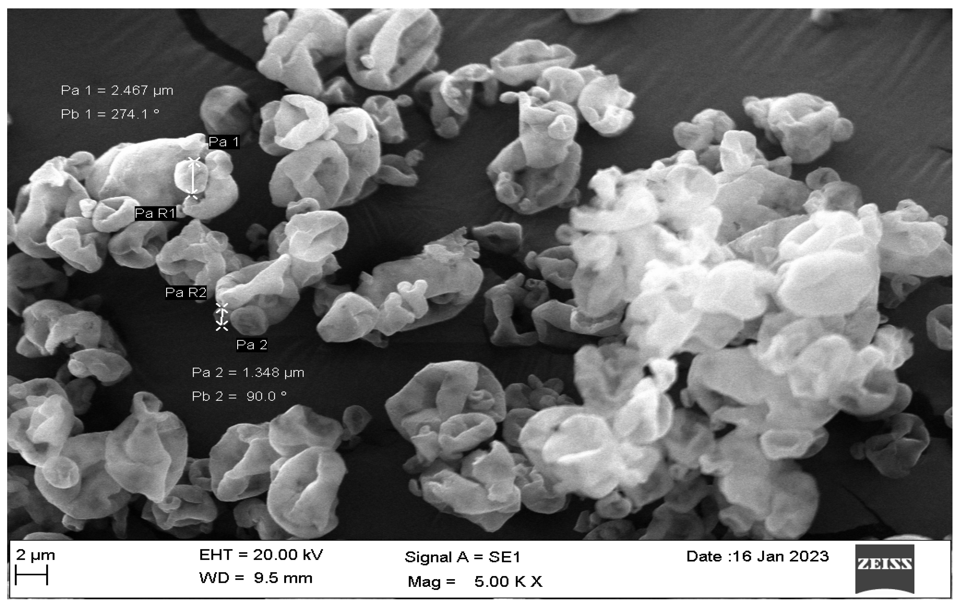 Pharmaceutics 16 00897 g004