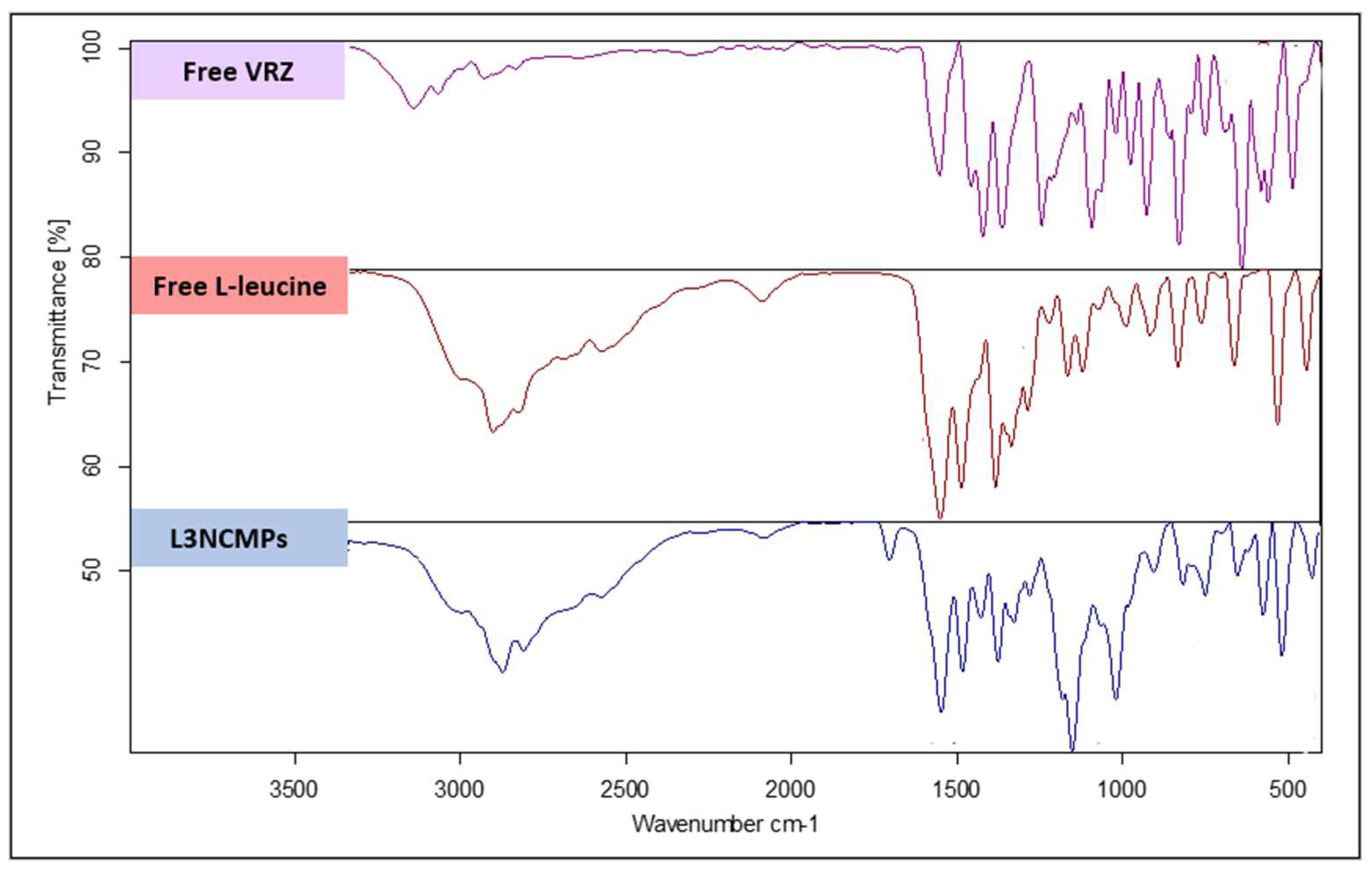 Pharmaceutics 16 00897 g005