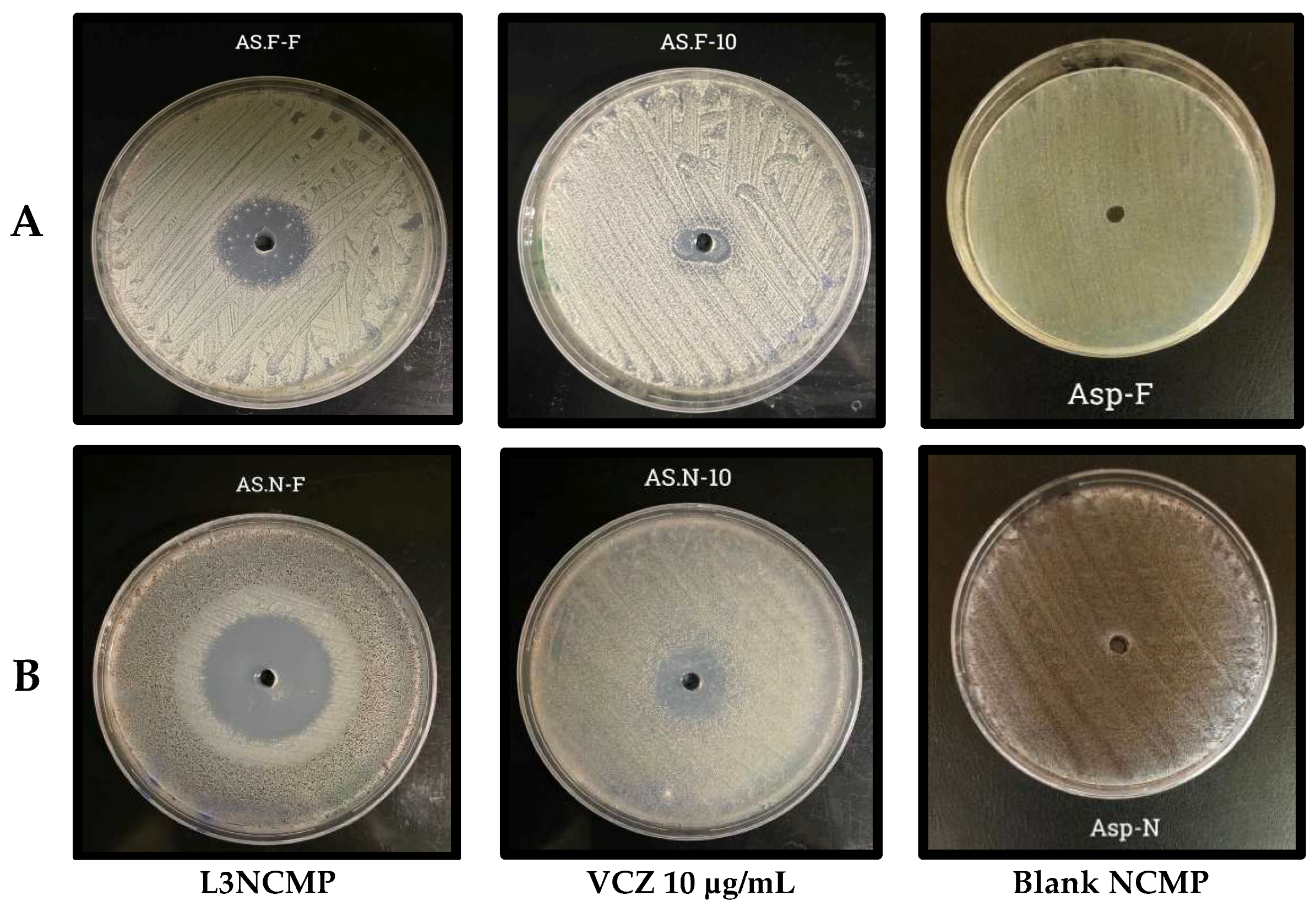 Pharmaceutics 16 00897 g007