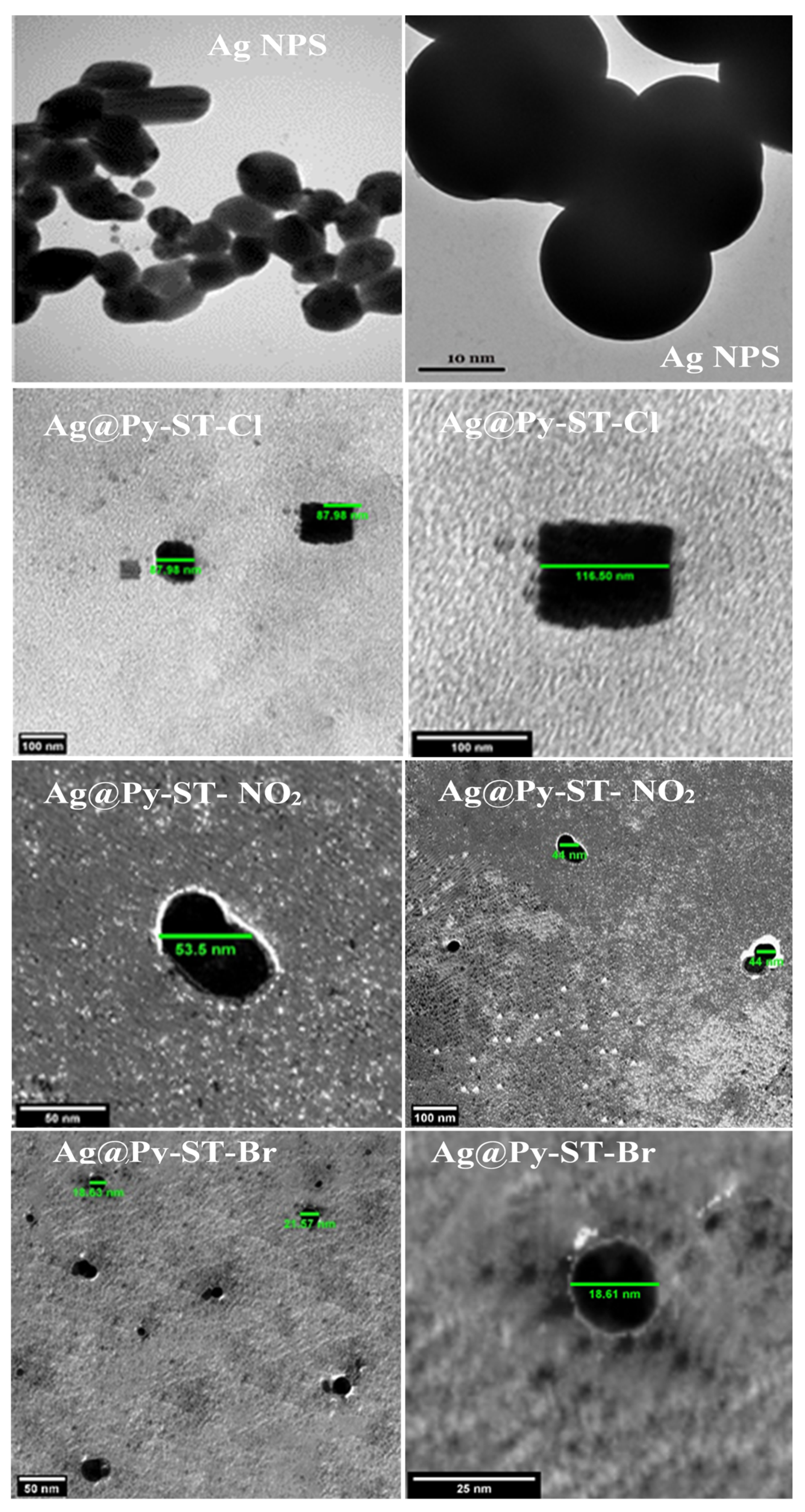Pharmaceutics 16 00901 g001
