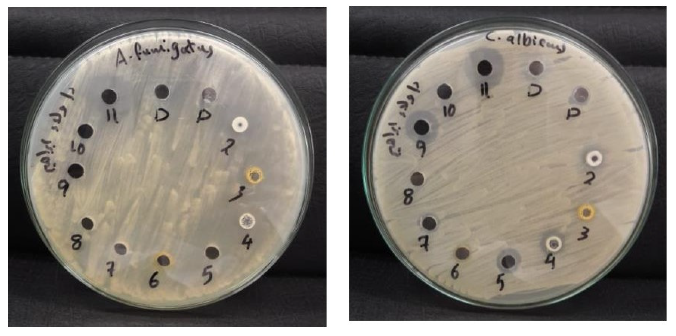 Pharmaceutics 16 00901 g011