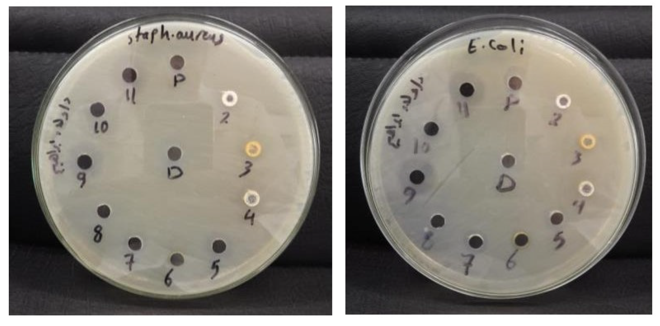 Pharmaceutics 16 00901 g012