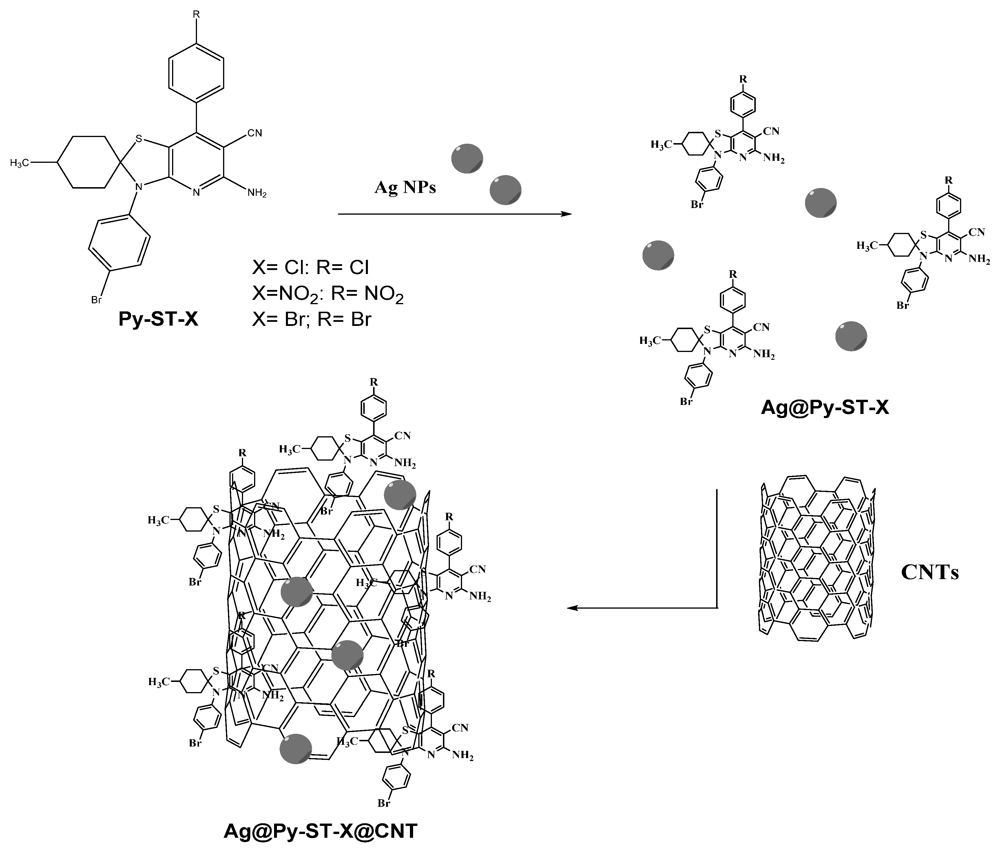 Pharmaceutics 16 00901 sch002