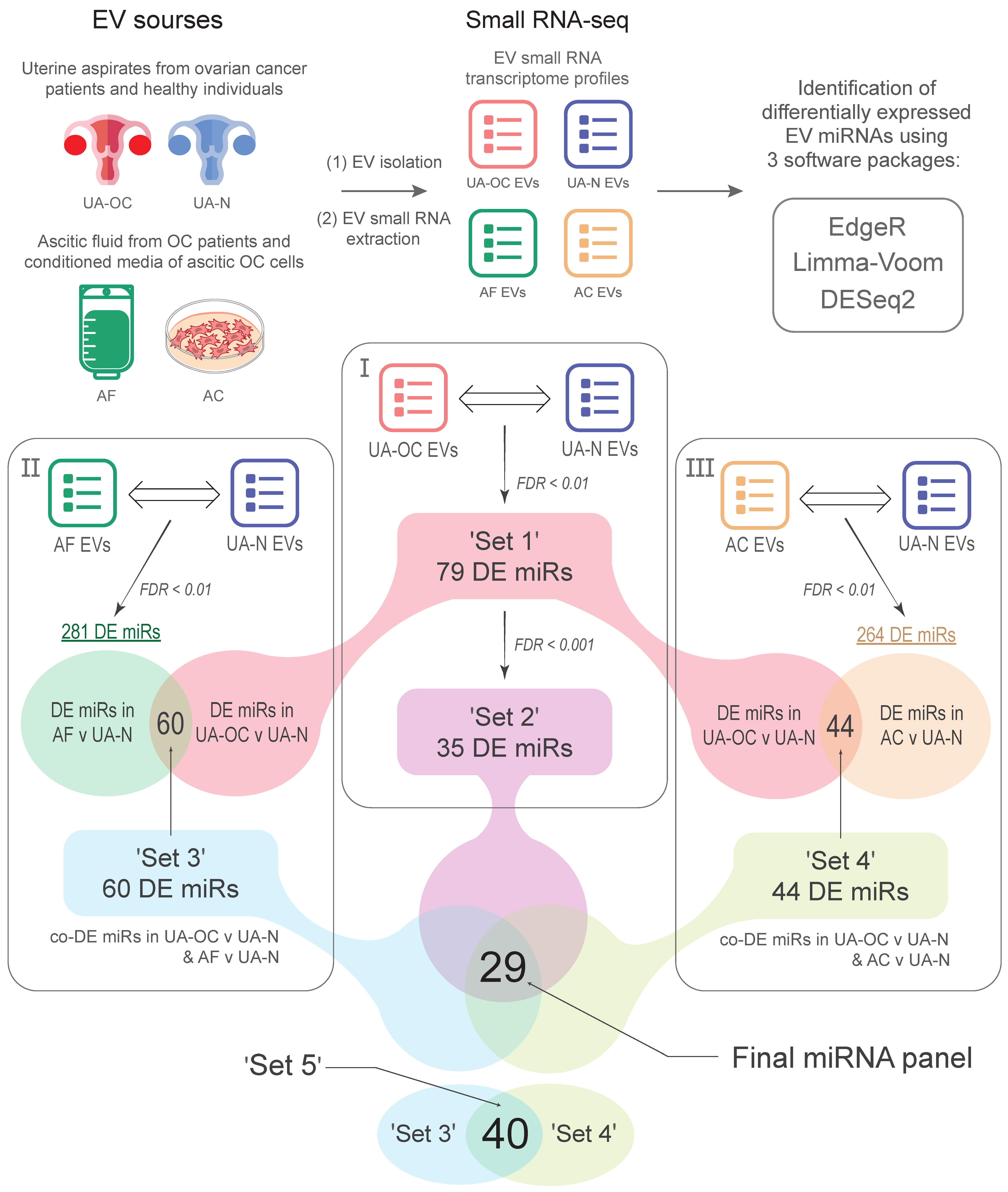 Pharmaceutics 16 00902 g001