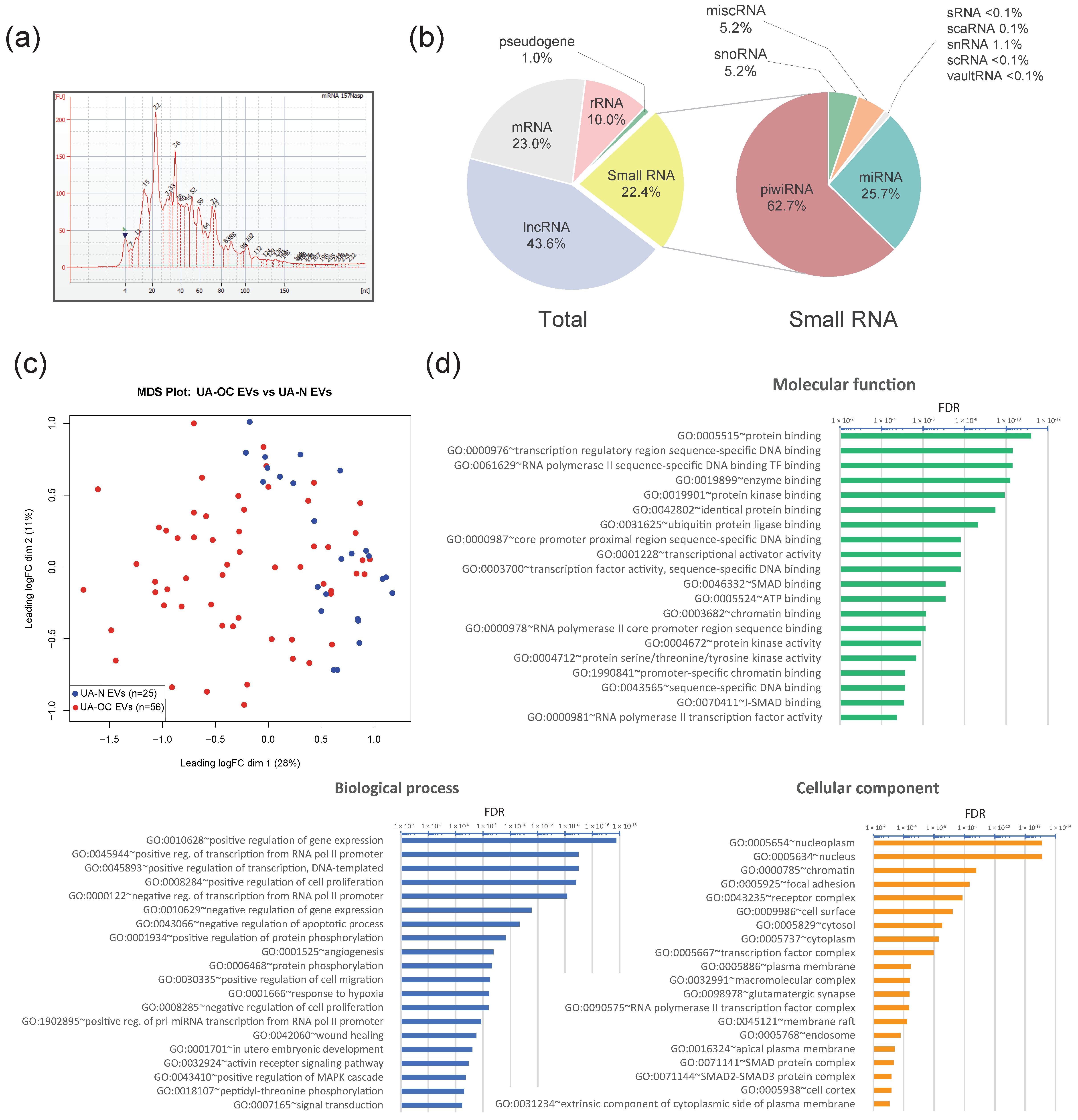 Pharmaceutics 16 00902 g003