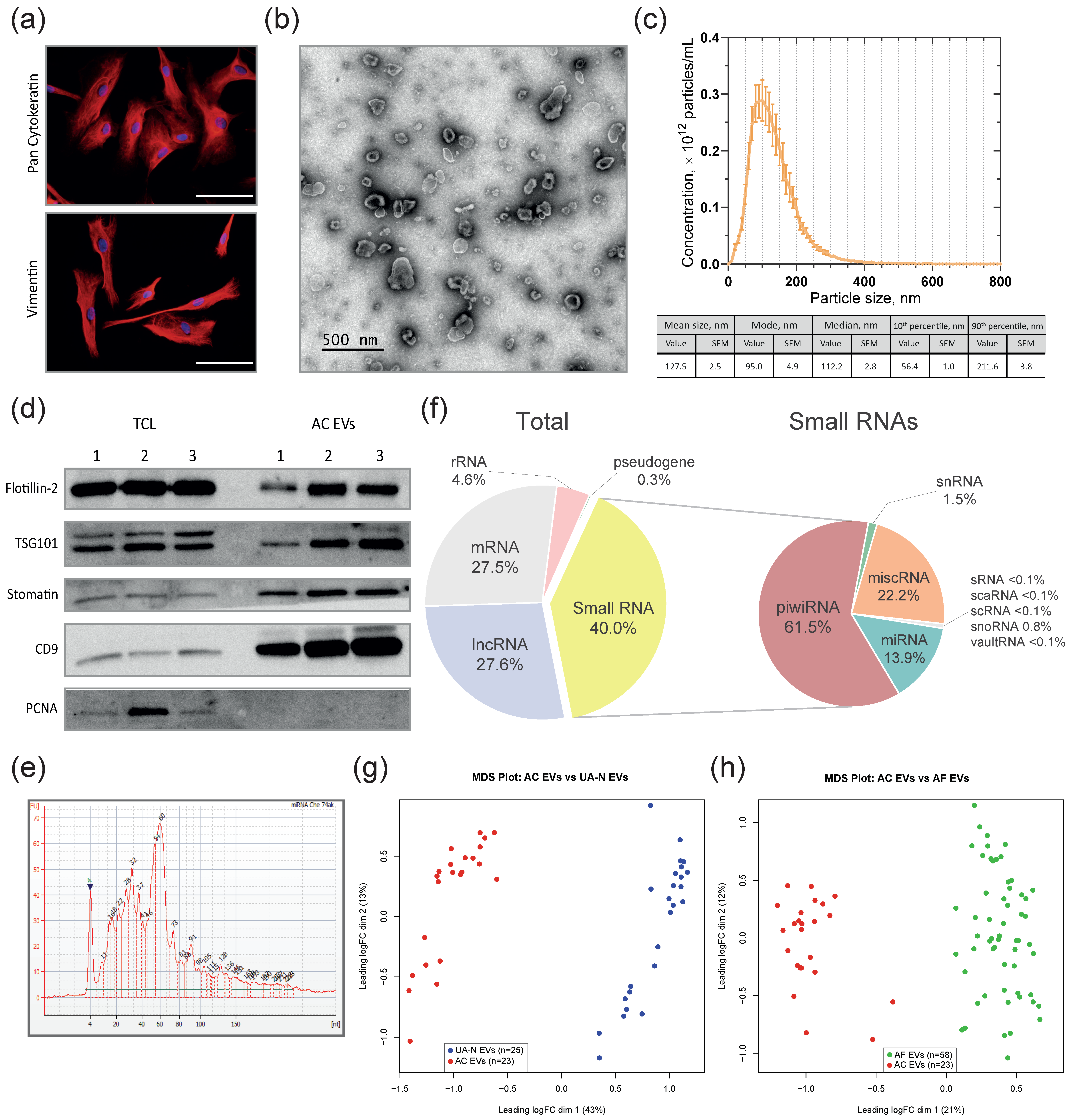 Pharmaceutics 16 00902 g006