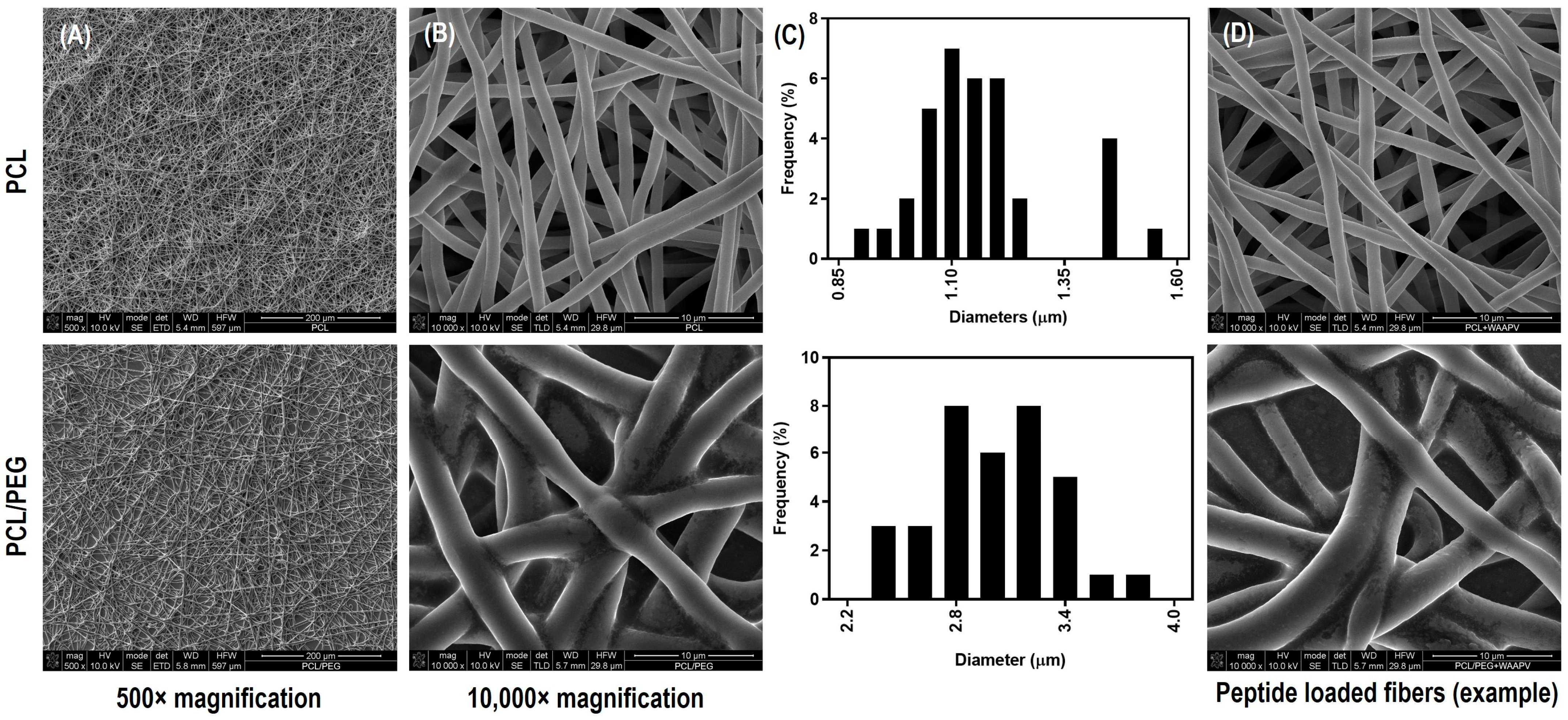 Pharmaceutics 16 00911 g002
