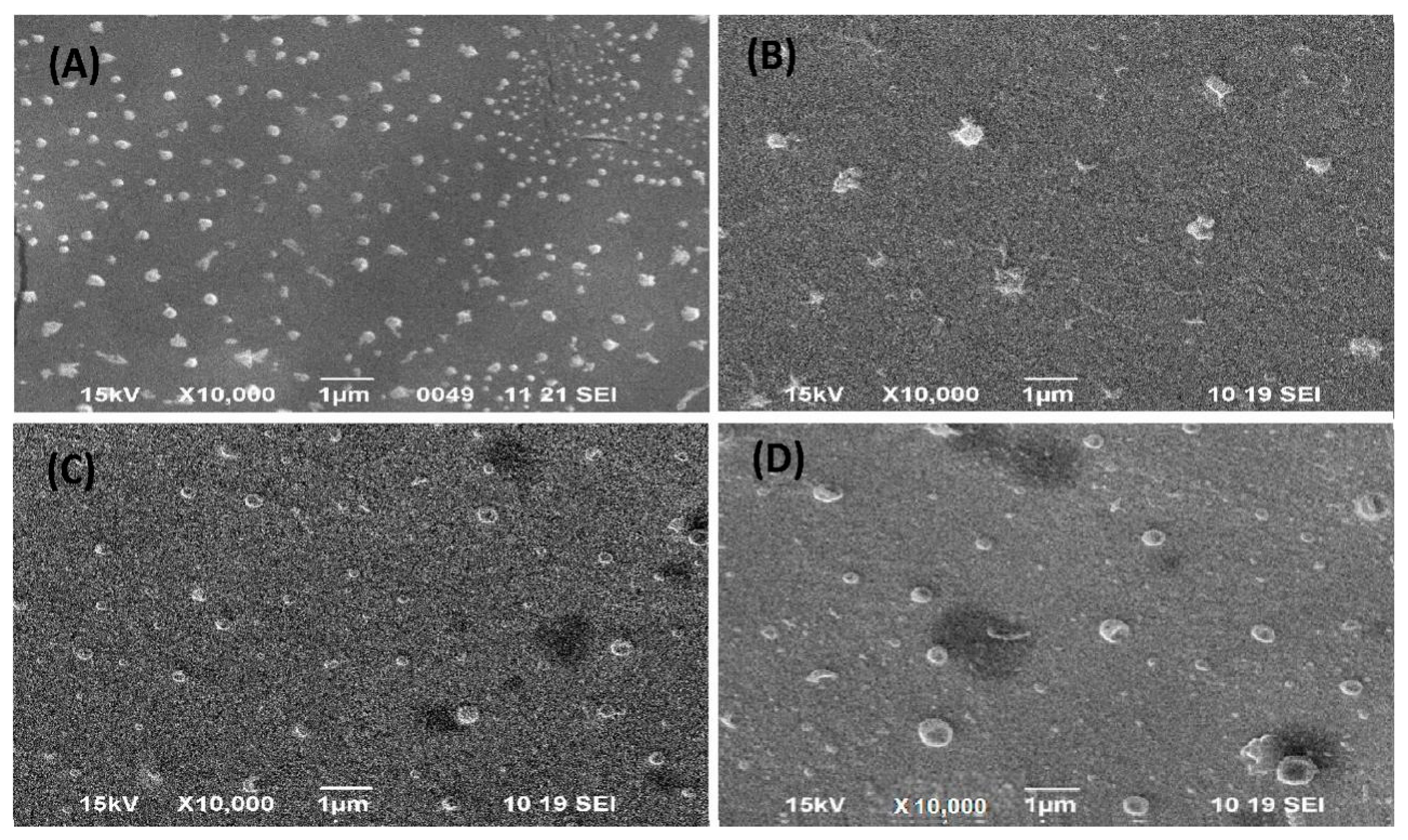 Pharmaceutics 16 00913 g002