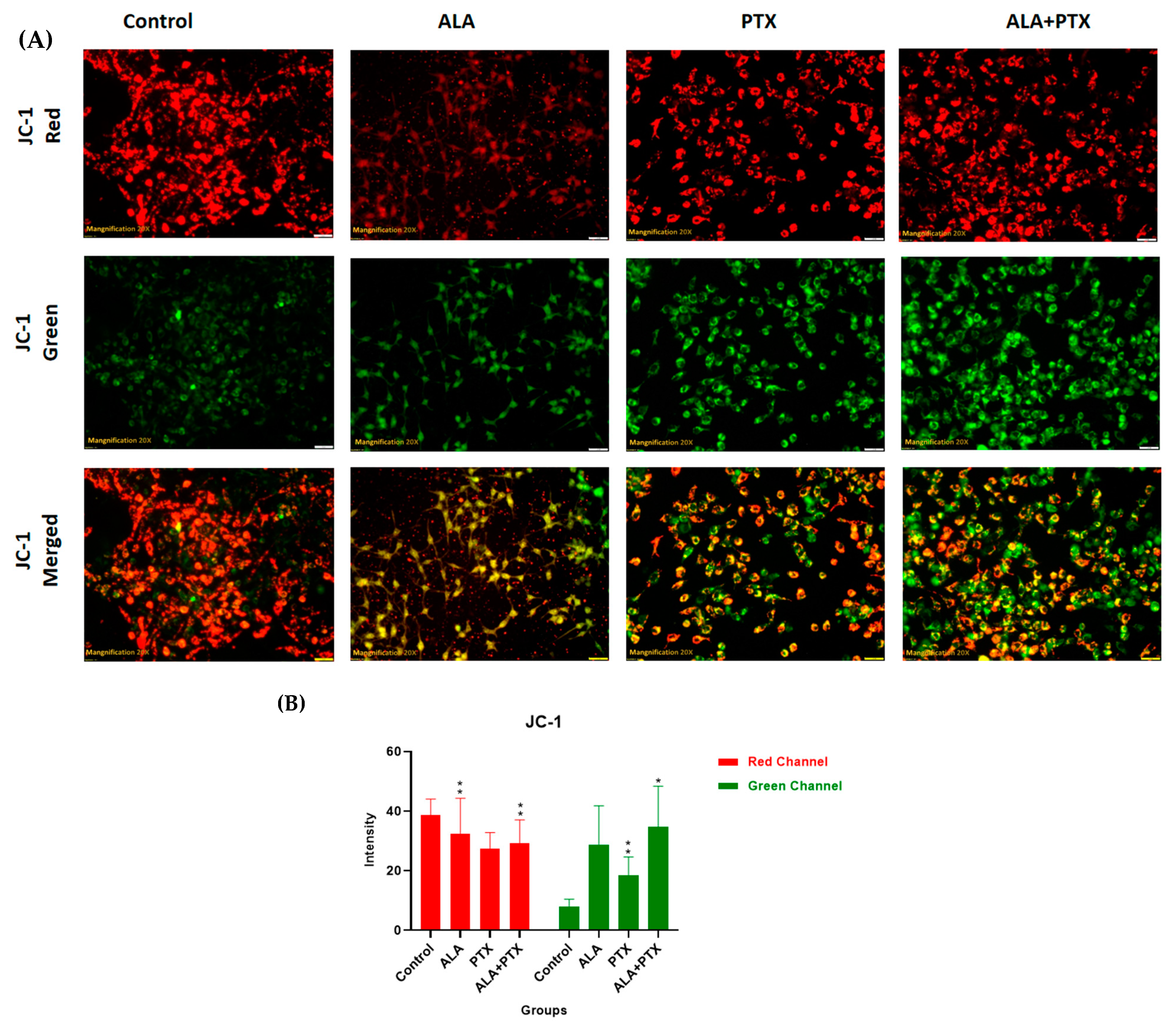 Pharmaceutics 16 00913 g009