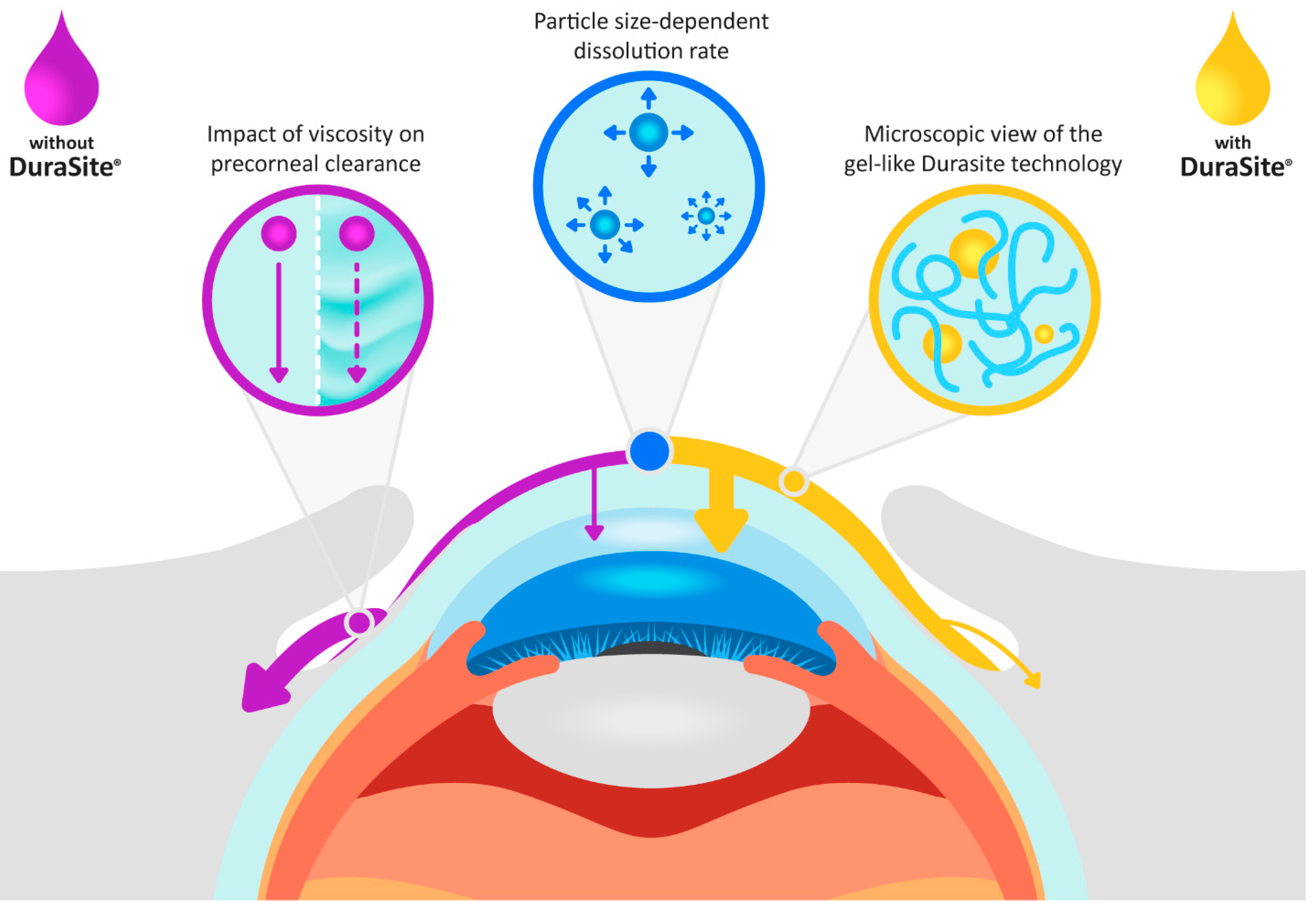 Pharmaceutics 16 00914 g001