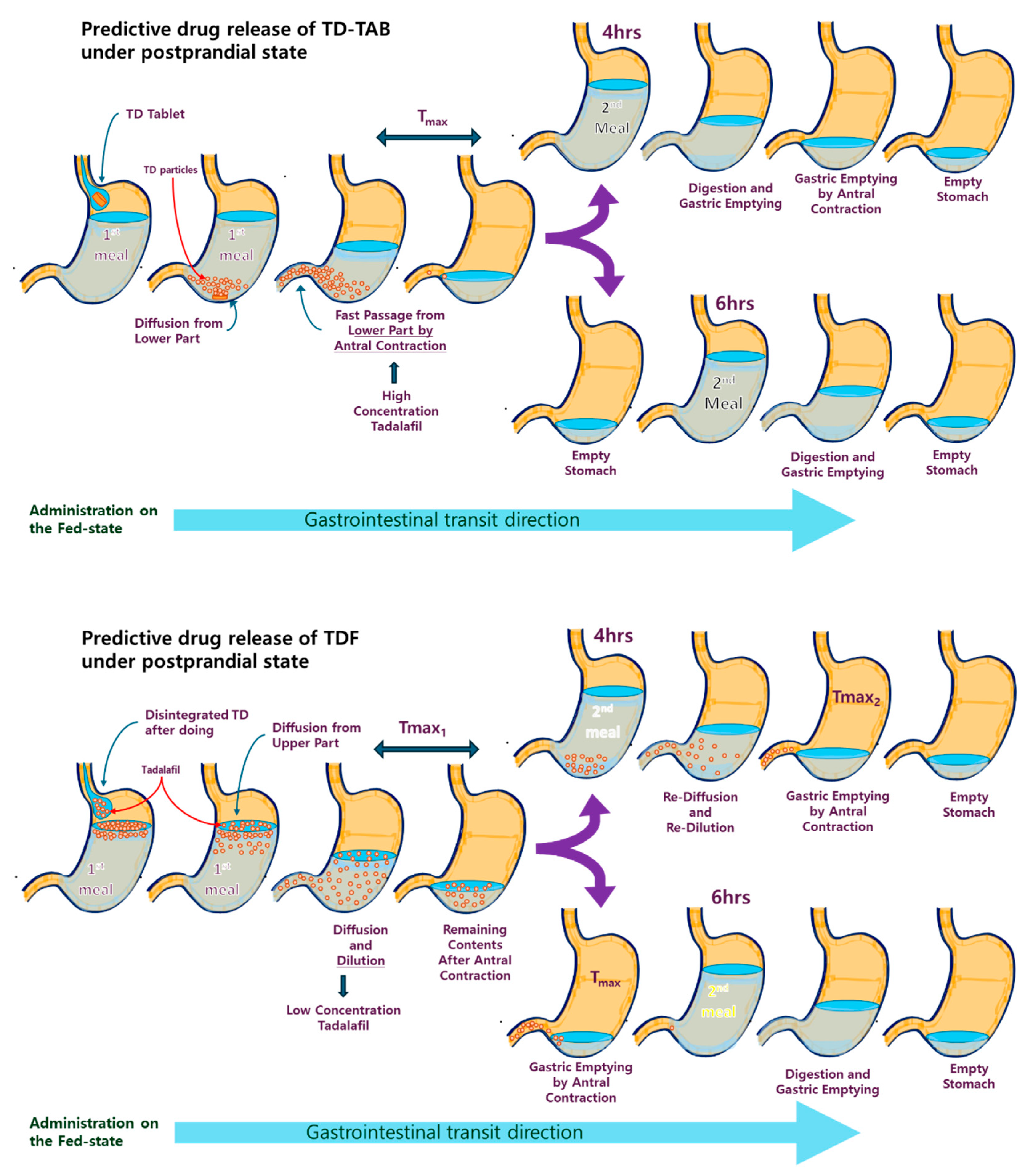 Pharmaceutics 16 00915 g007
