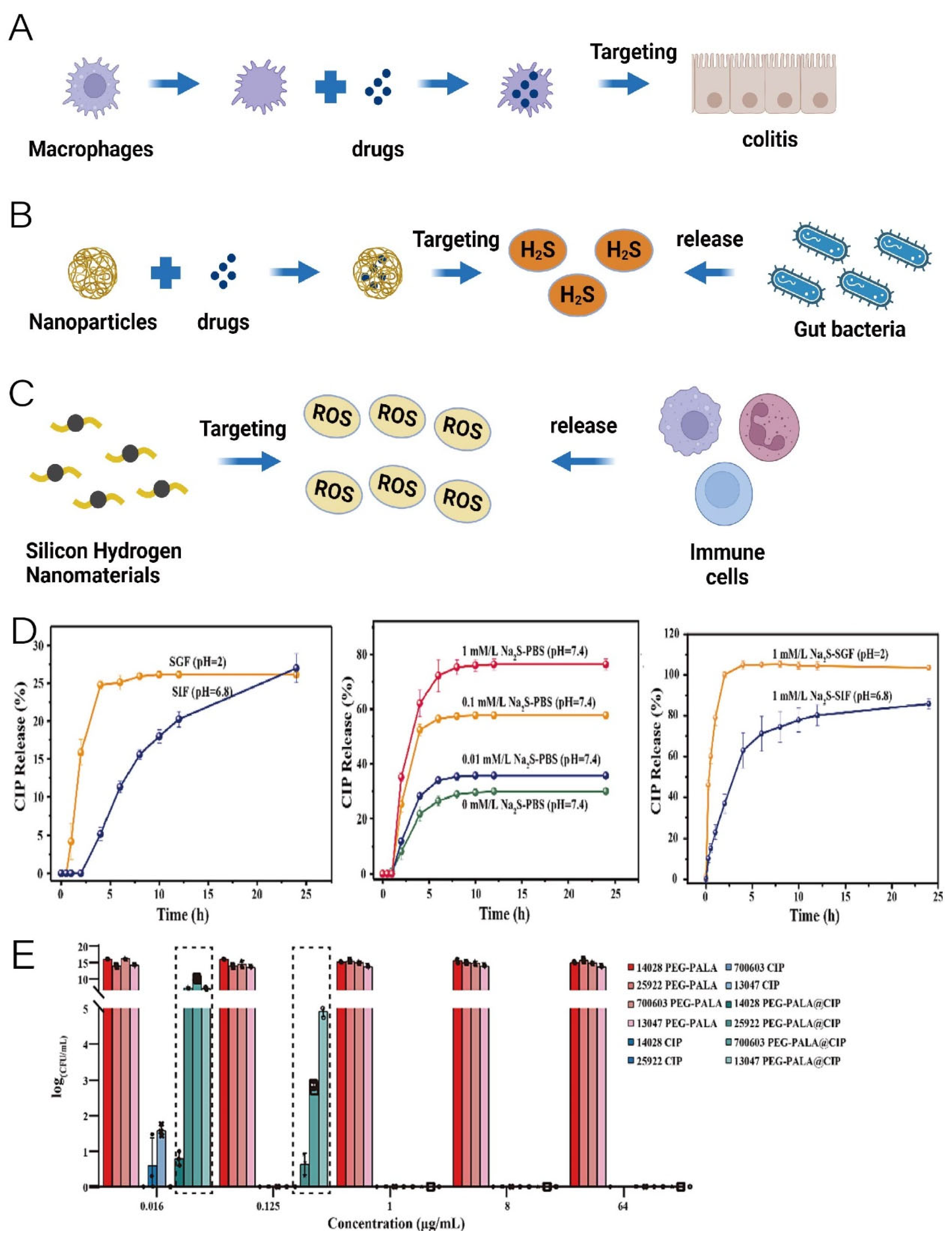 Pharmaceutics 16 00921 g004 Pharmaceutics 16 00921 g004