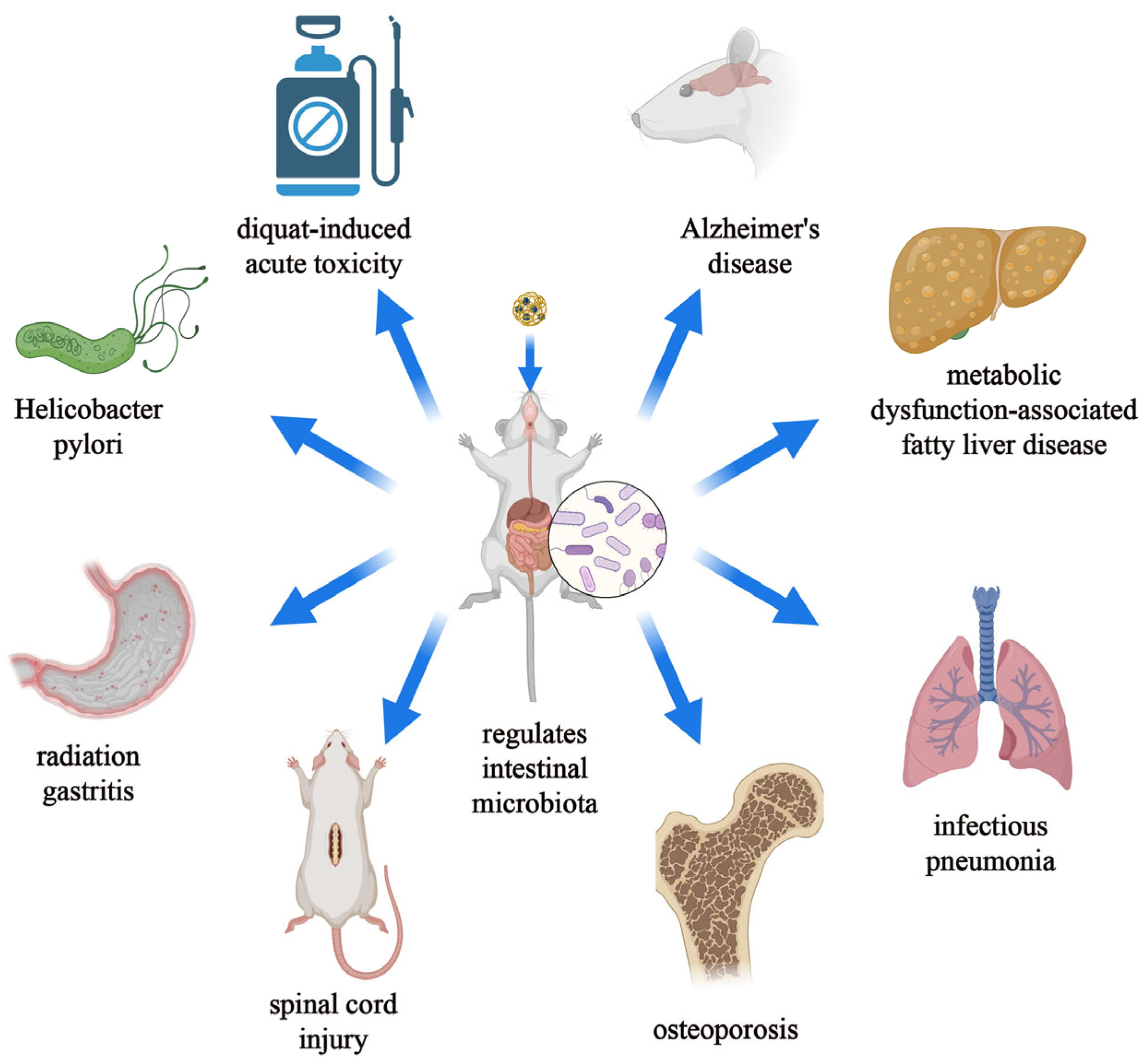 Pharmaceutics 16 00921 g011 Pharmaceutics 16 00921 g011