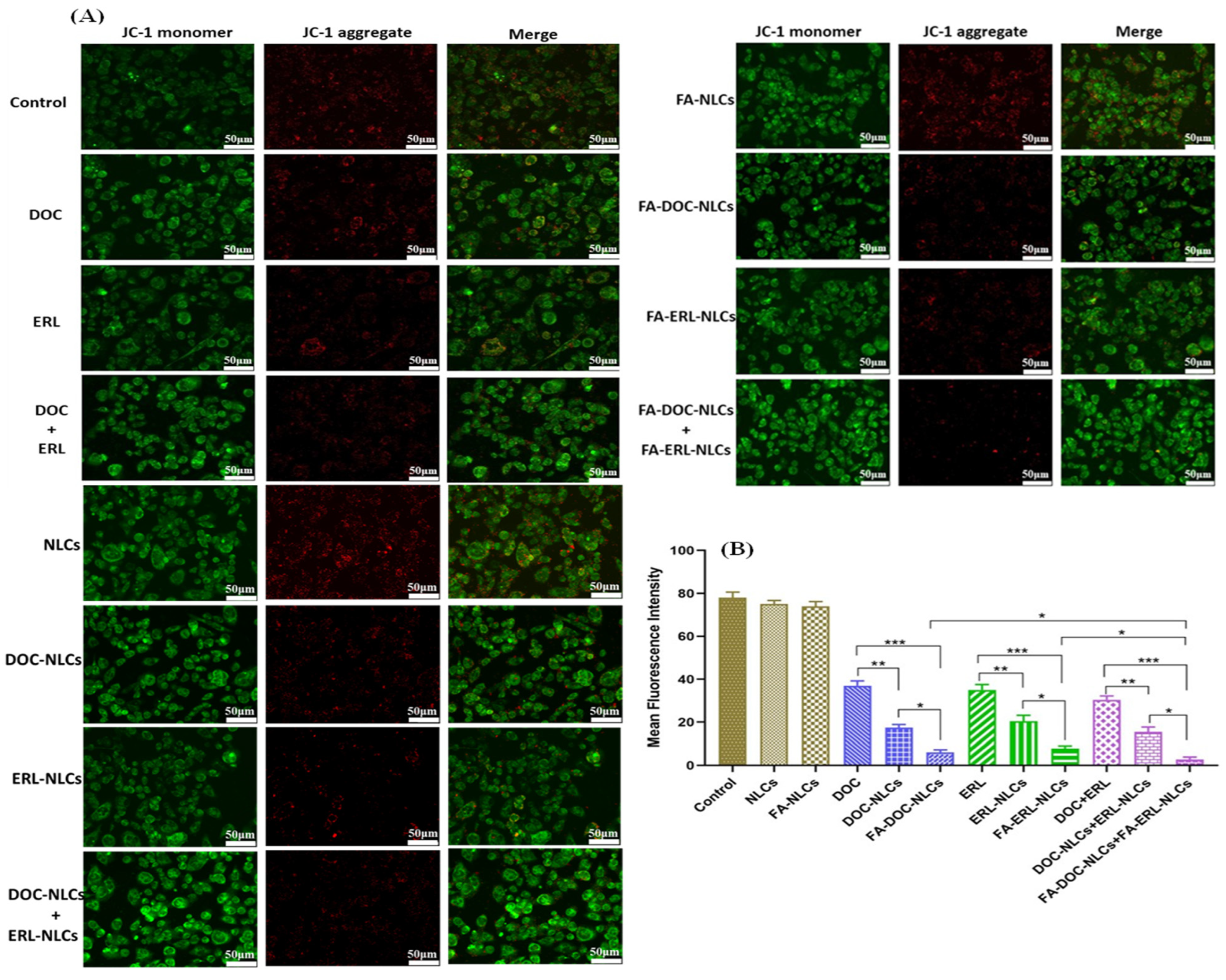 Pharmaceutics 16 00926 g011