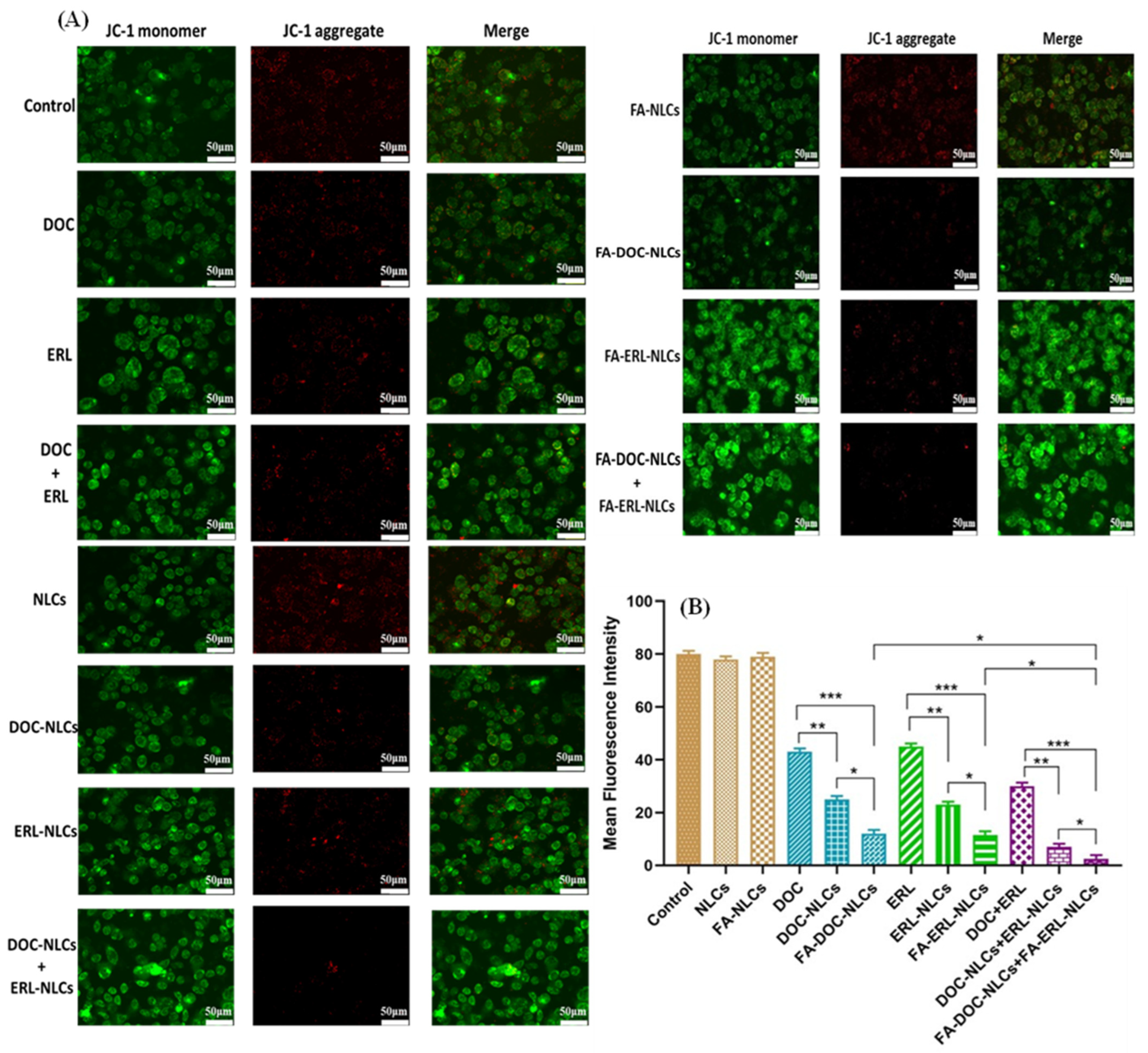 Pharmaceutics 16 00926 g012