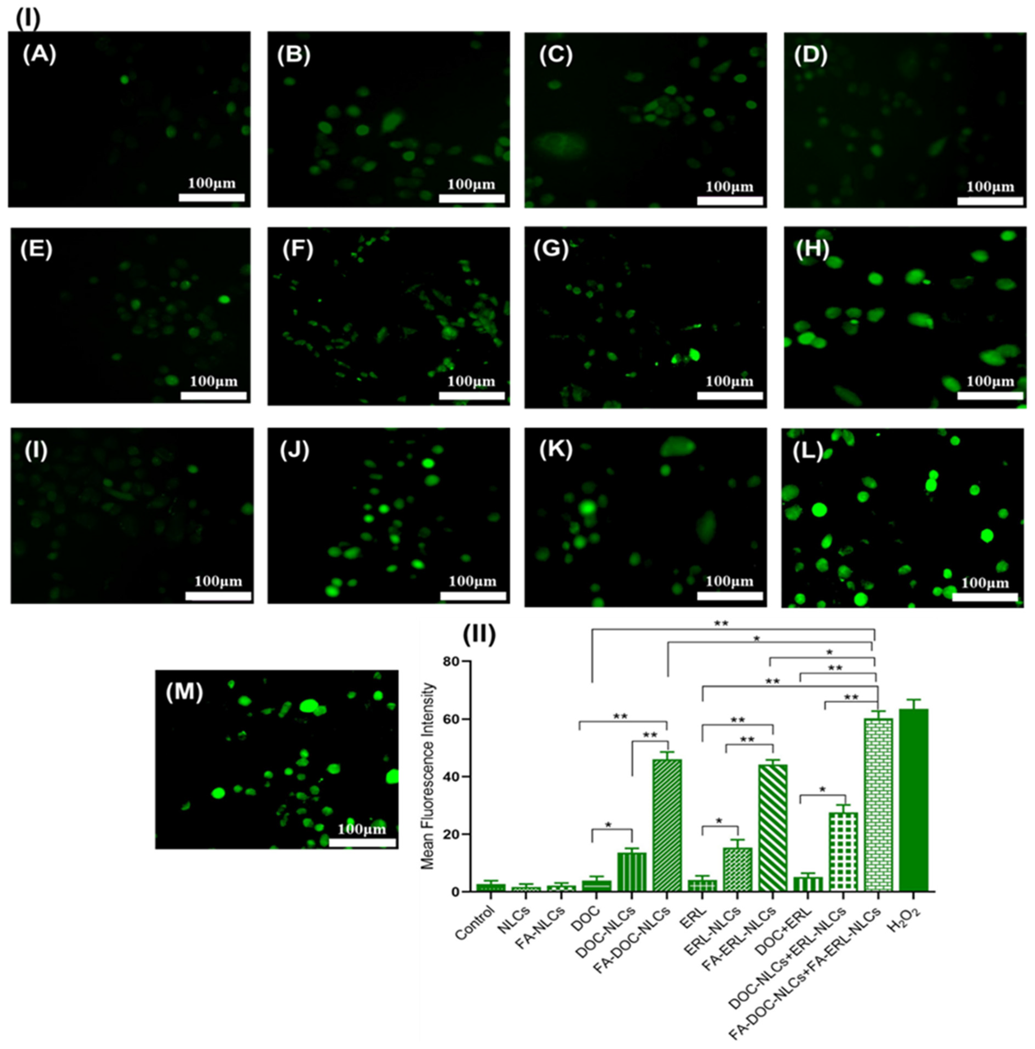 Pharmaceutics 16 00926 g015