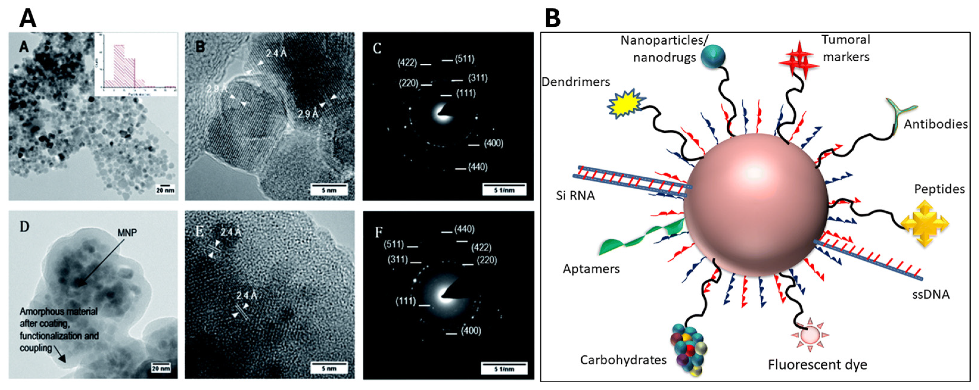 Pharmaceutics 16 00932 g006