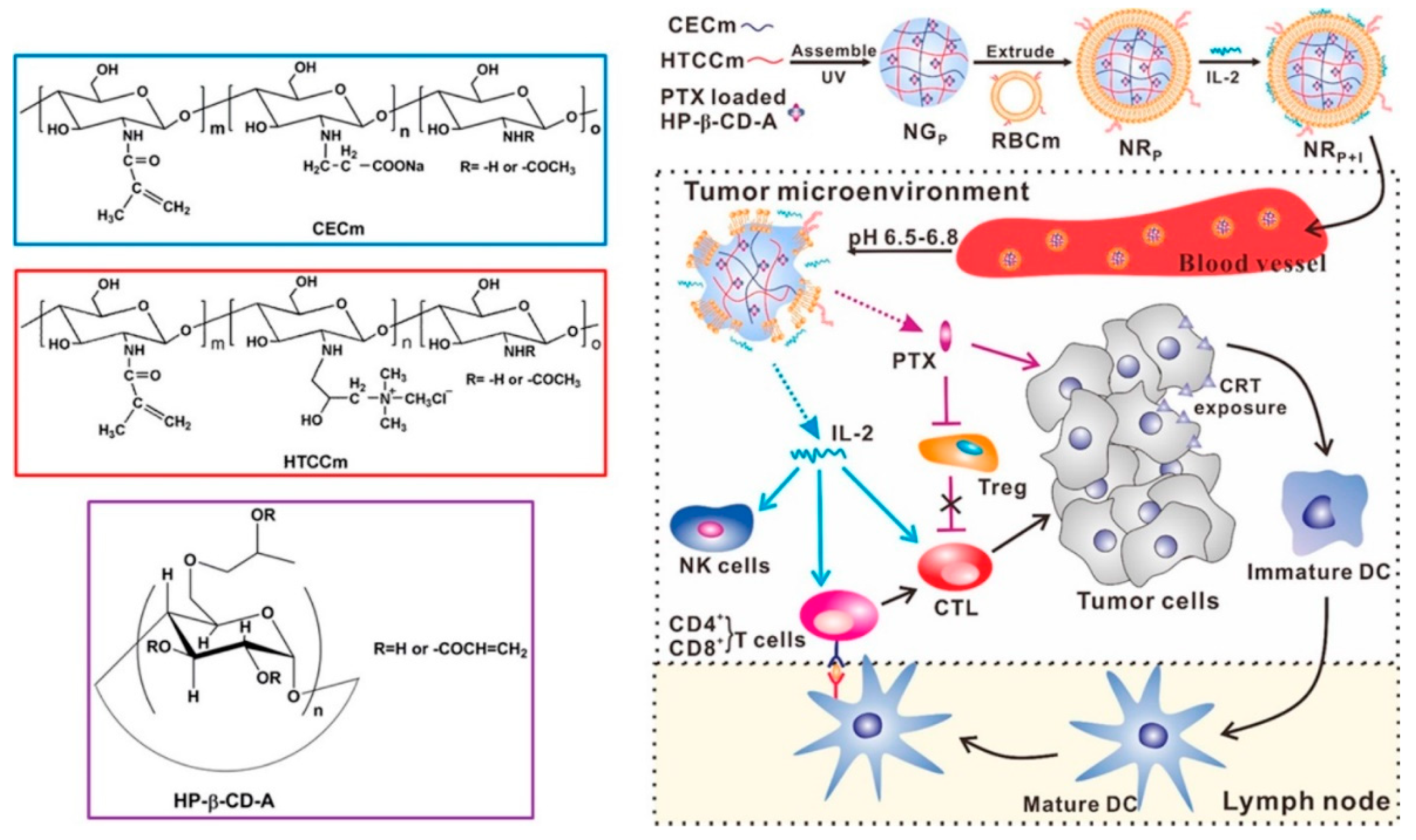 Pharmaceutics 16 00939 g002