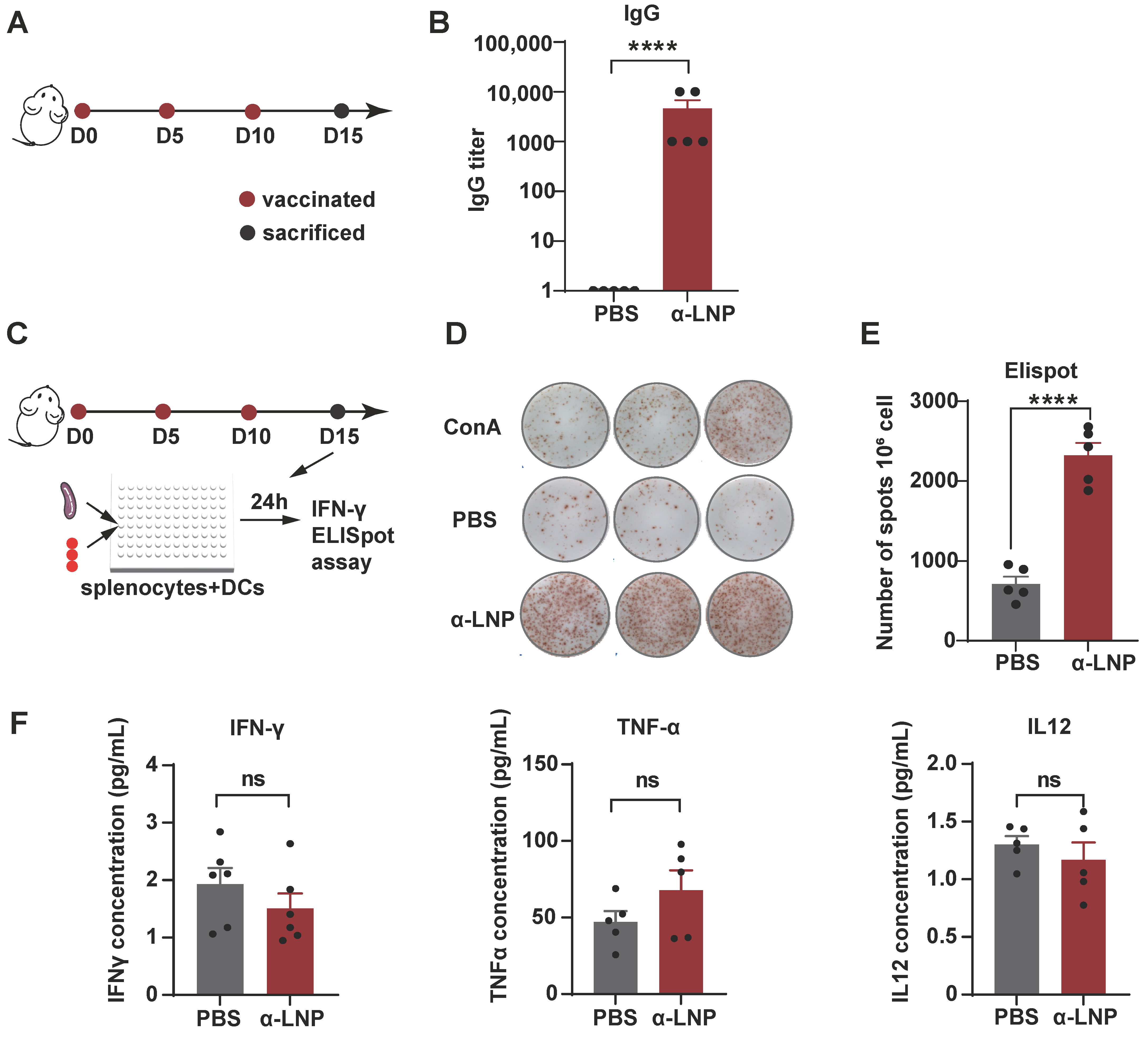 Pharmaceutics 16 00940 g002