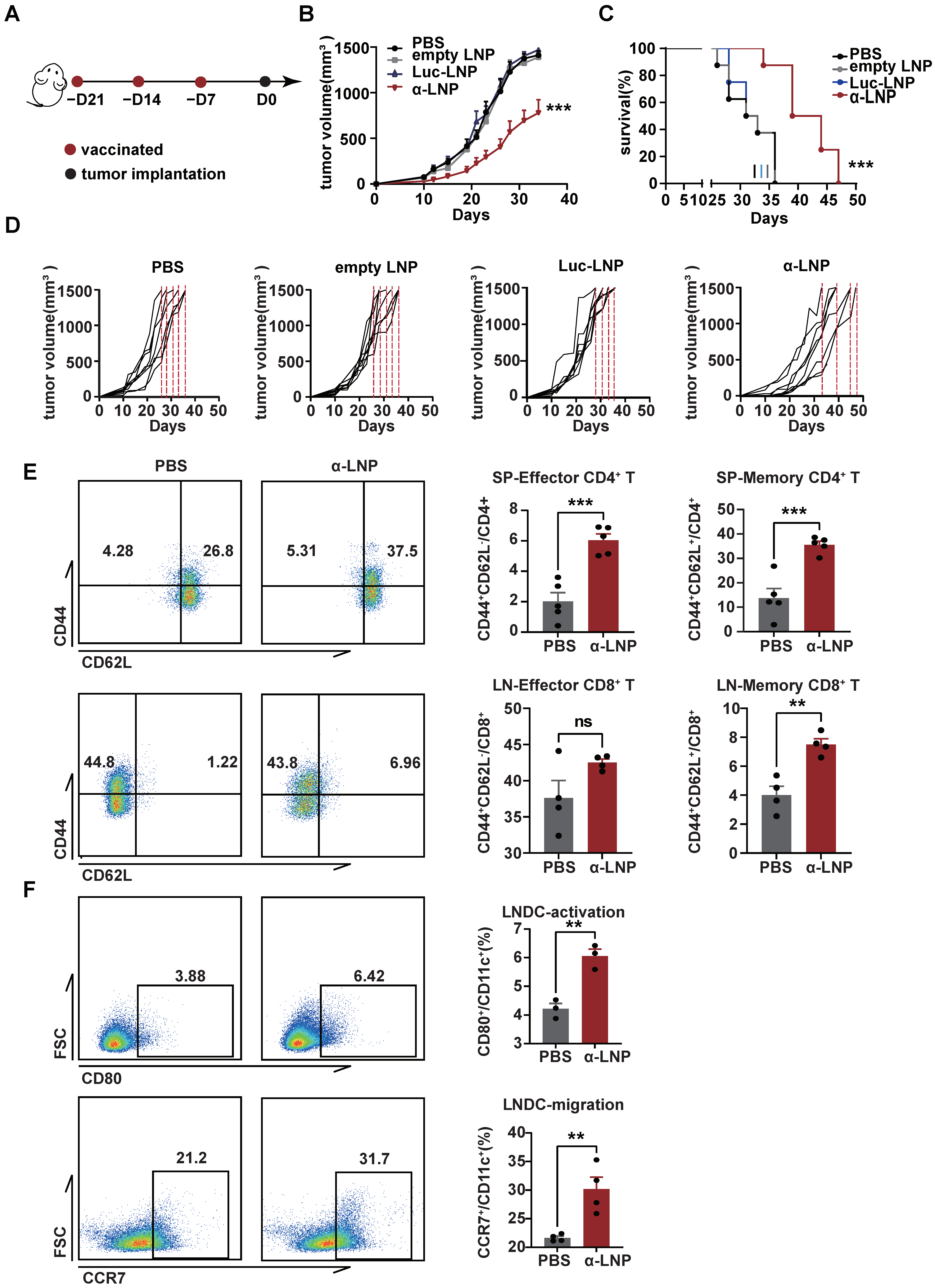Pharmaceutics 16 00940 g003