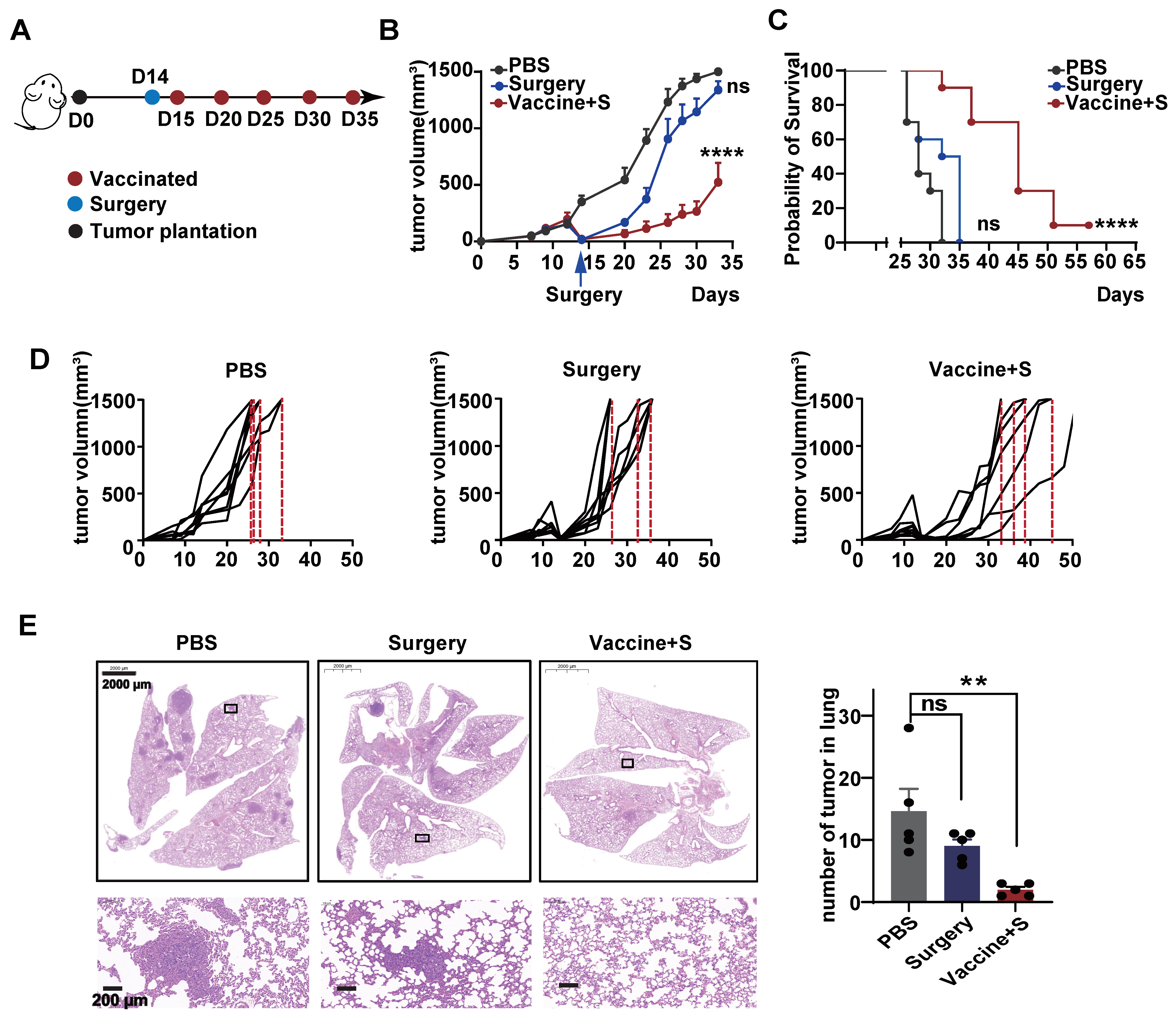 Pharmaceutics 16 00940 g004