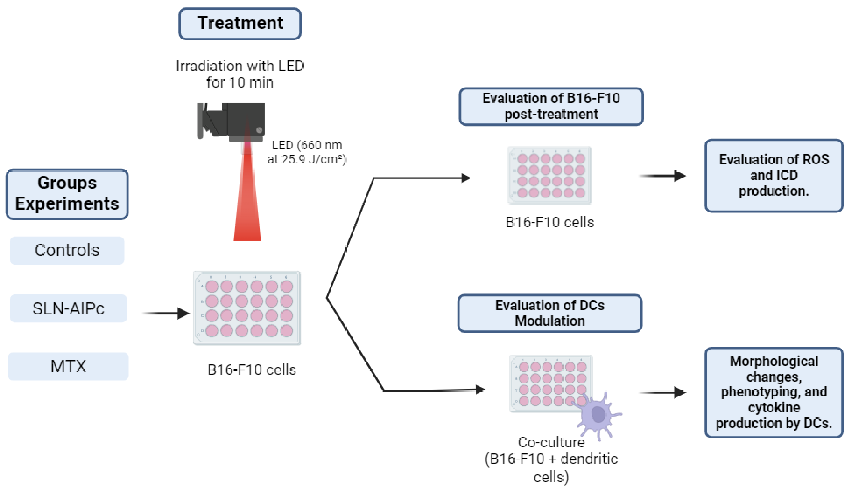 Pharmaceutics 16 00941 g001