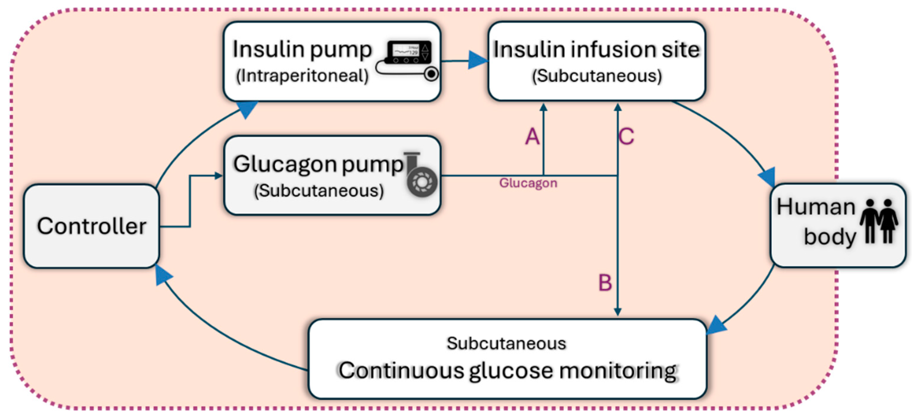 Pharmaceutics 16 00944 g013