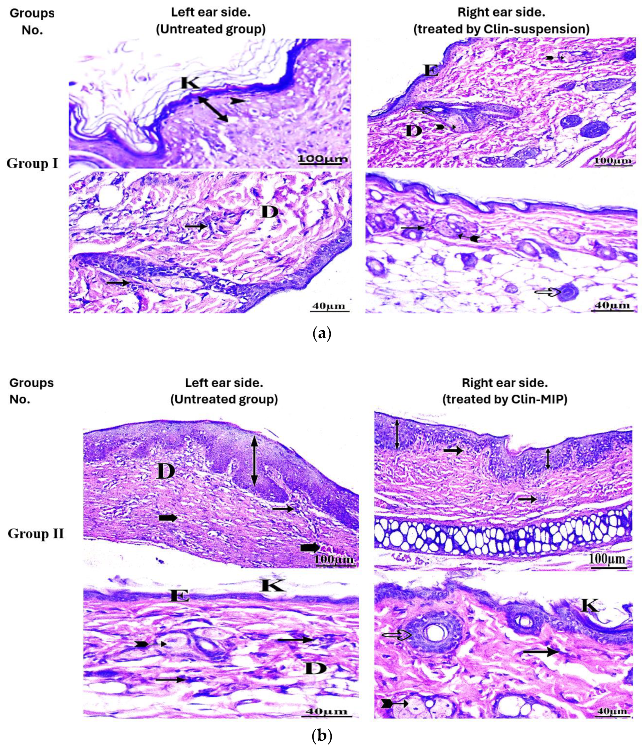 Pharmaceutics 16 00947 g011a