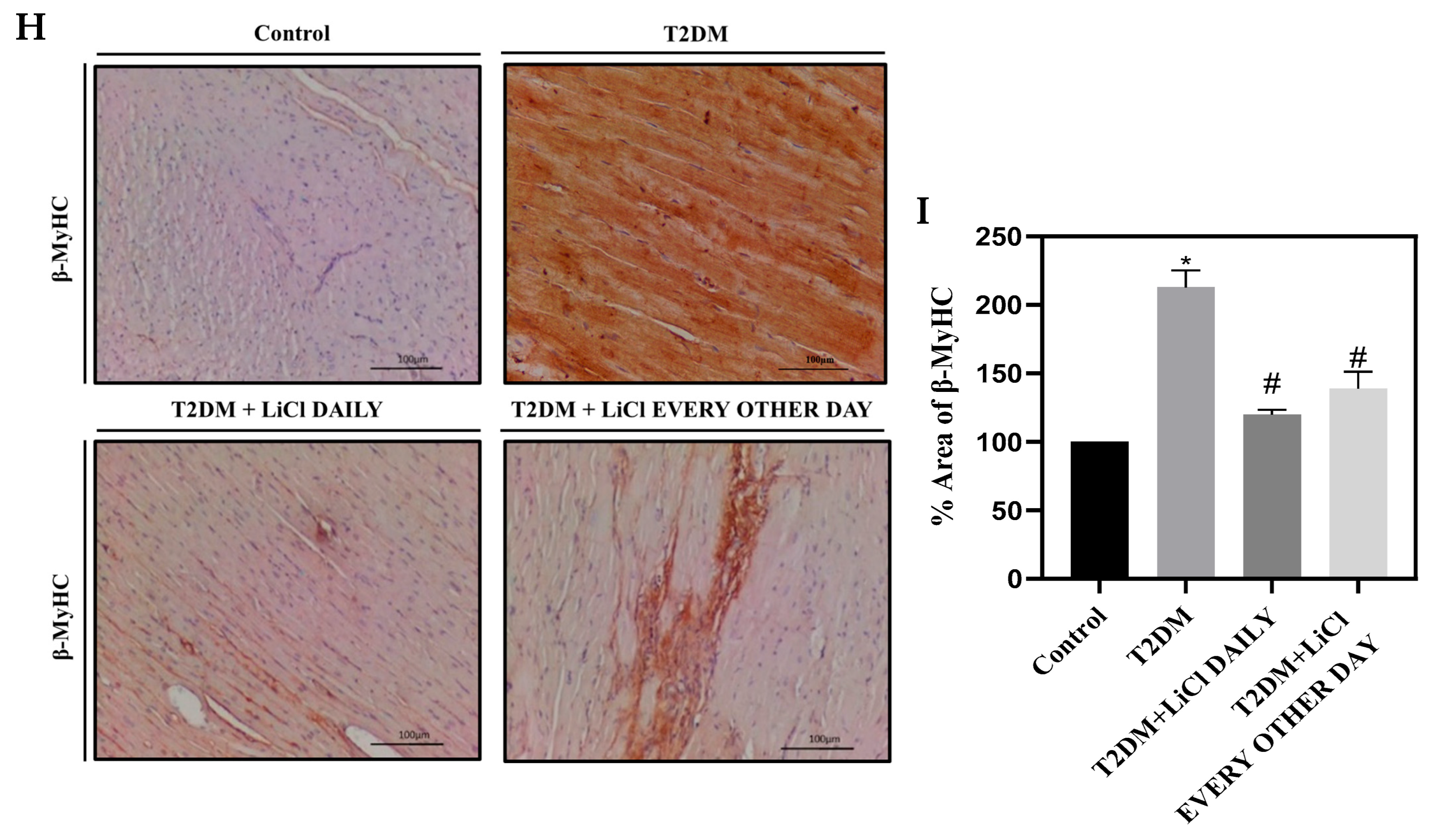 Pharmaceutics 16 00955 g003b Pharmaceutics 16 00955 g003b