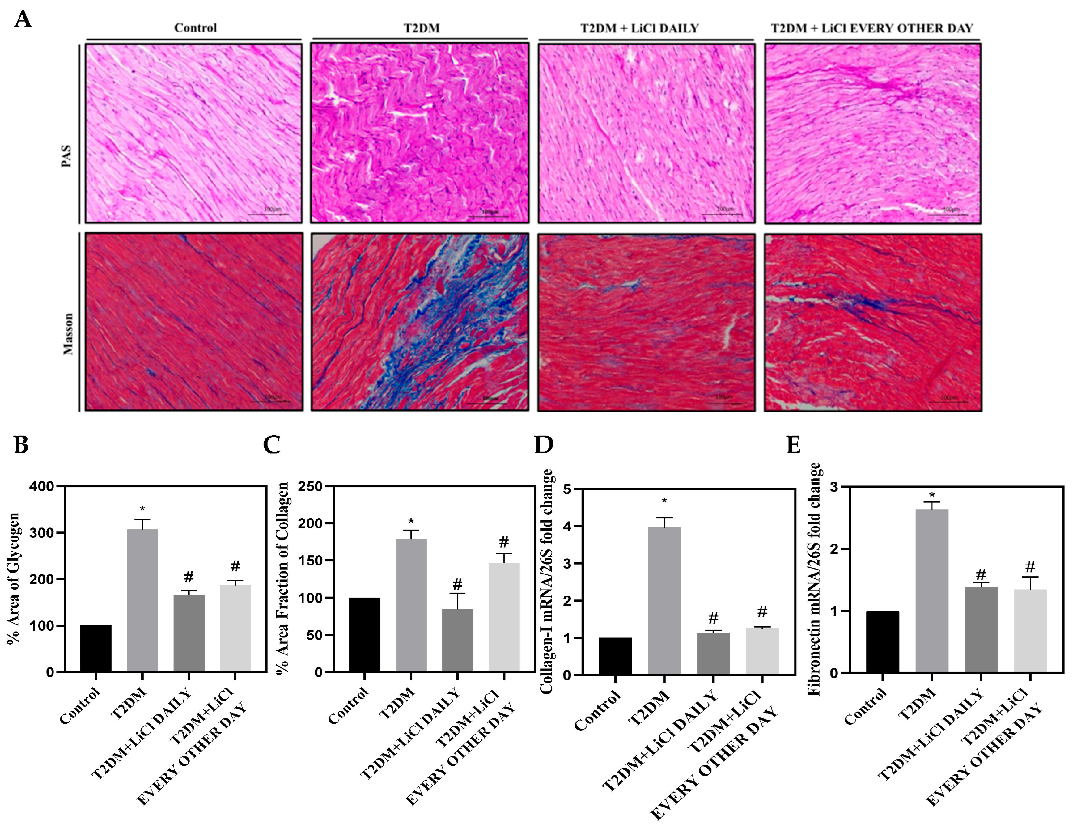 Pharmaceutics 16 00955 g004 Pharmaceutics 16 00955 g004