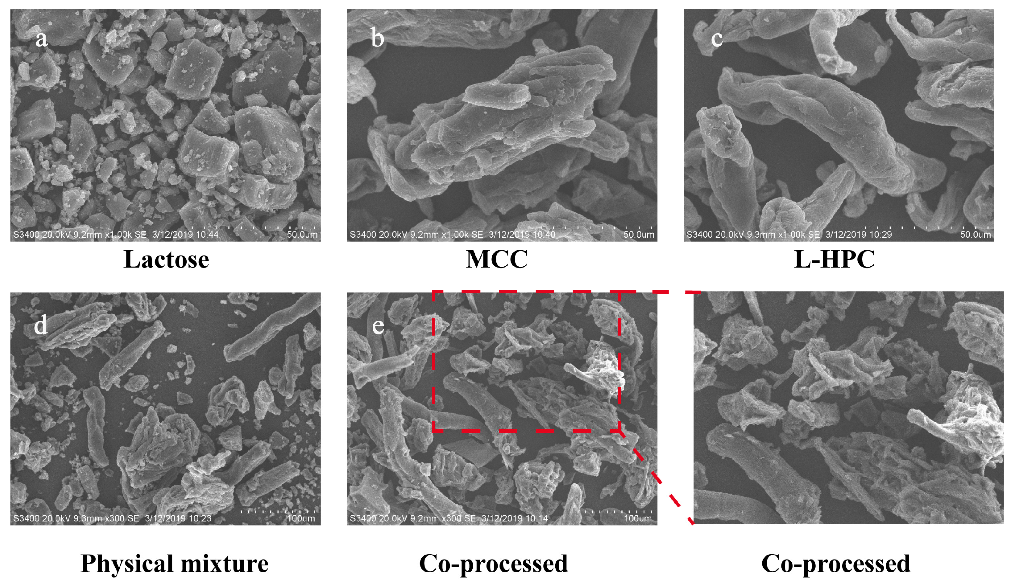 Pharmaceutics 16 00959 g004