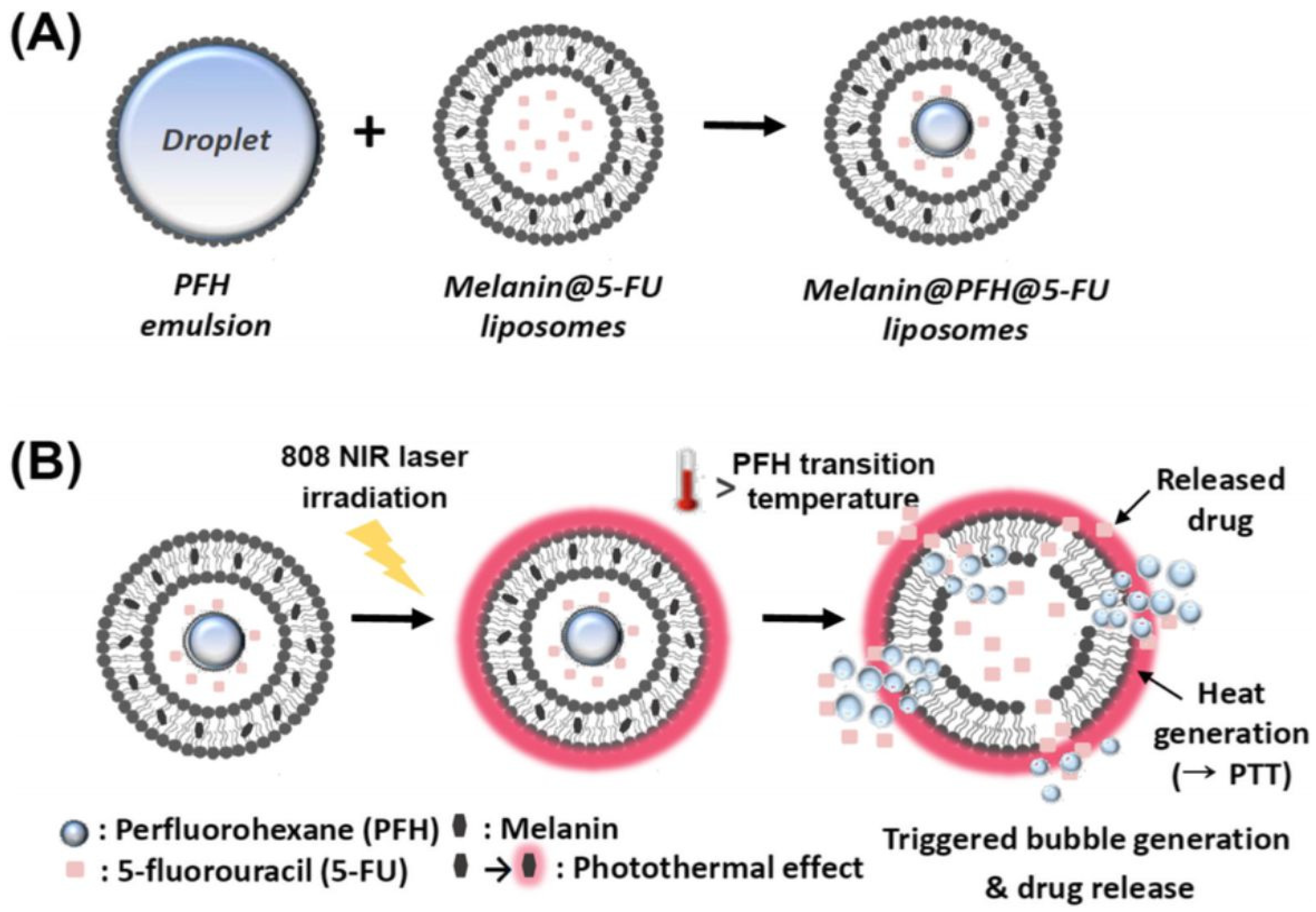 Pharmaceutics 16 00966 g004