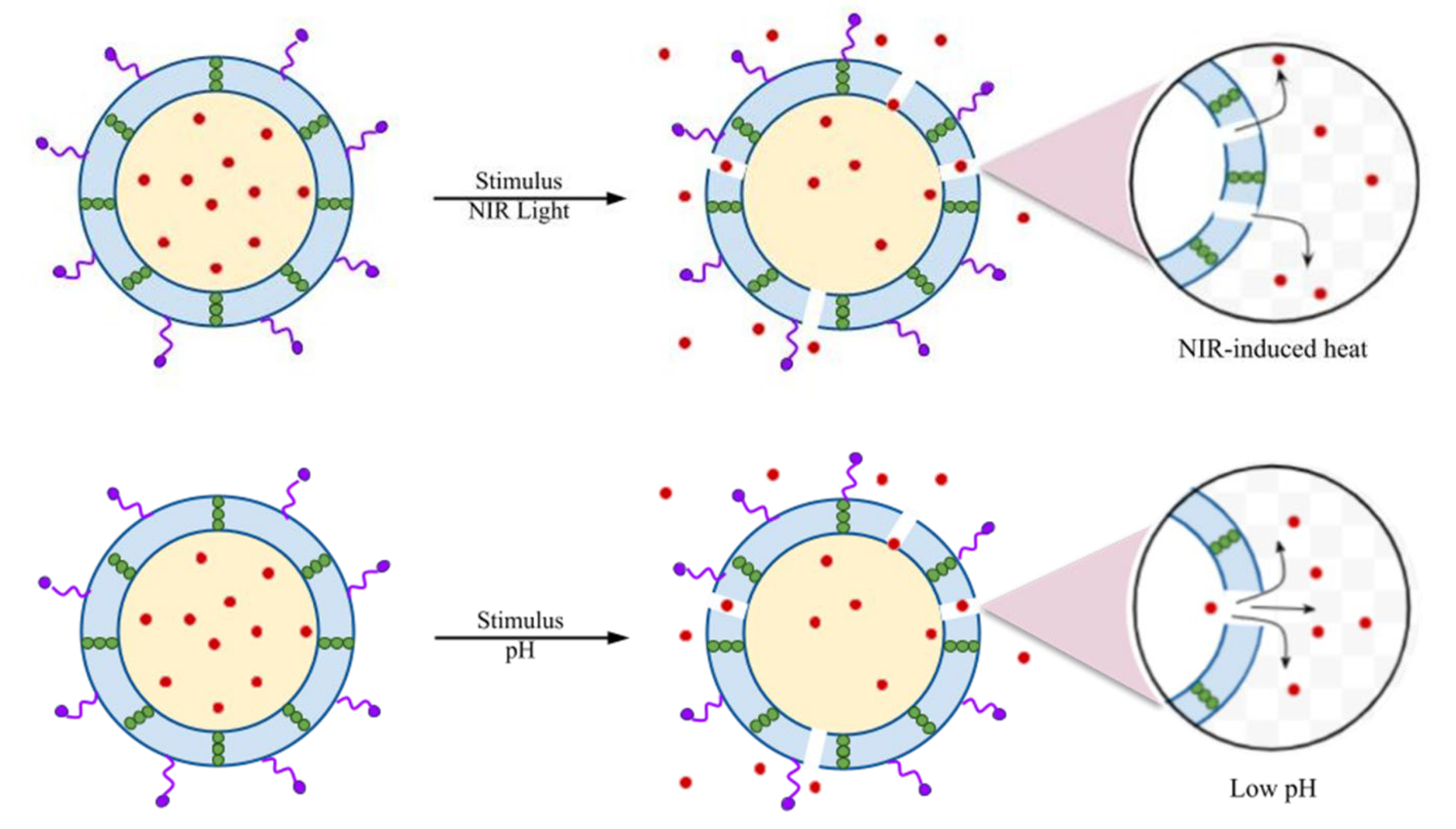 Pharmaceutics 16 00976 g002